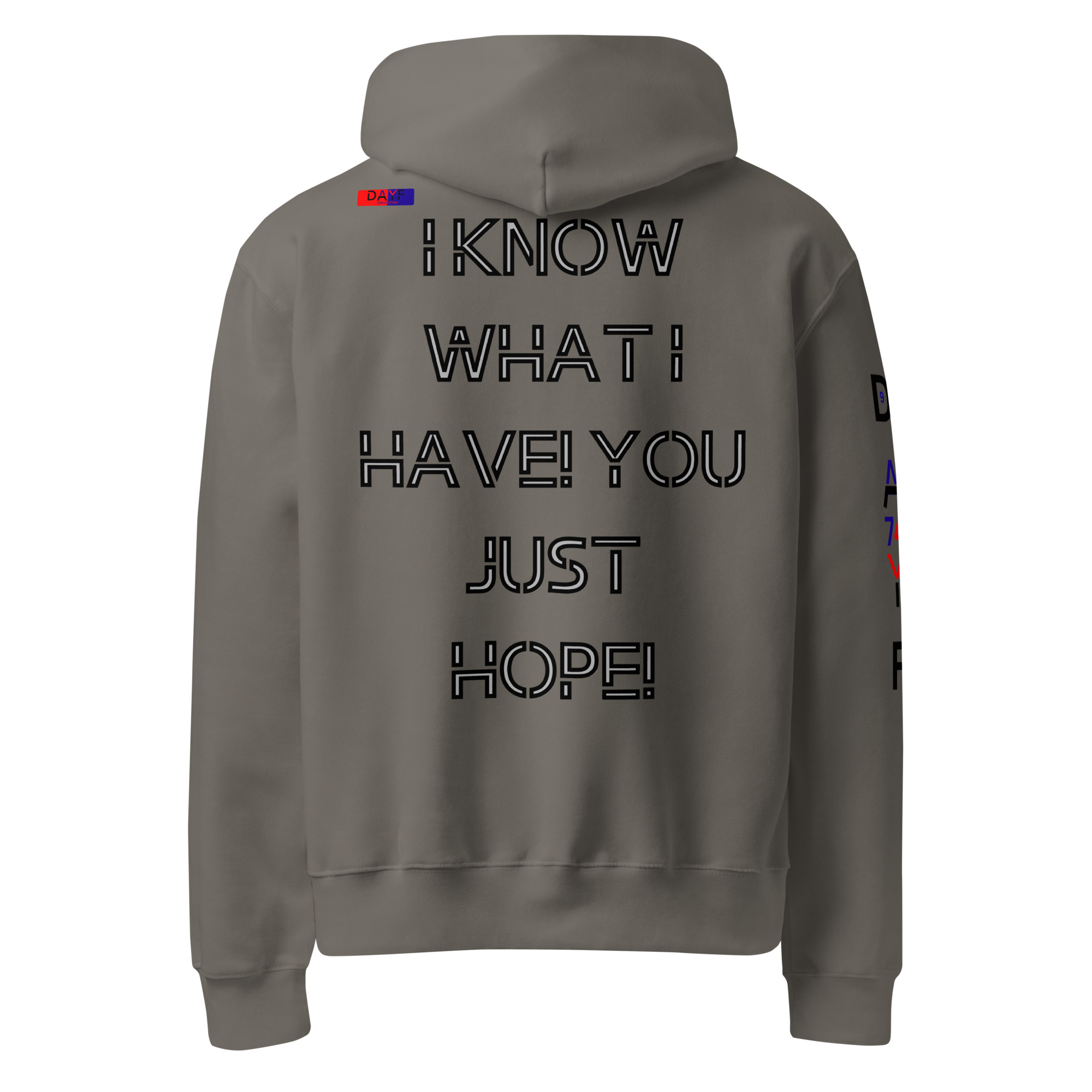 oversized heavyweight hoodie back 9