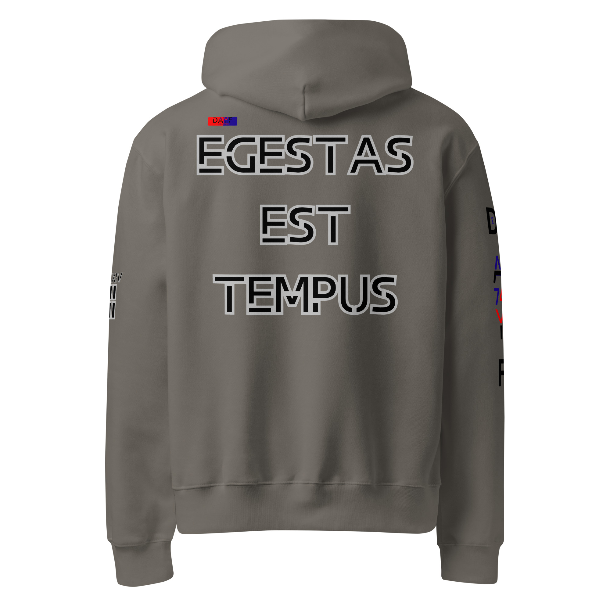 oversized heavyweight hoodie back latin 2