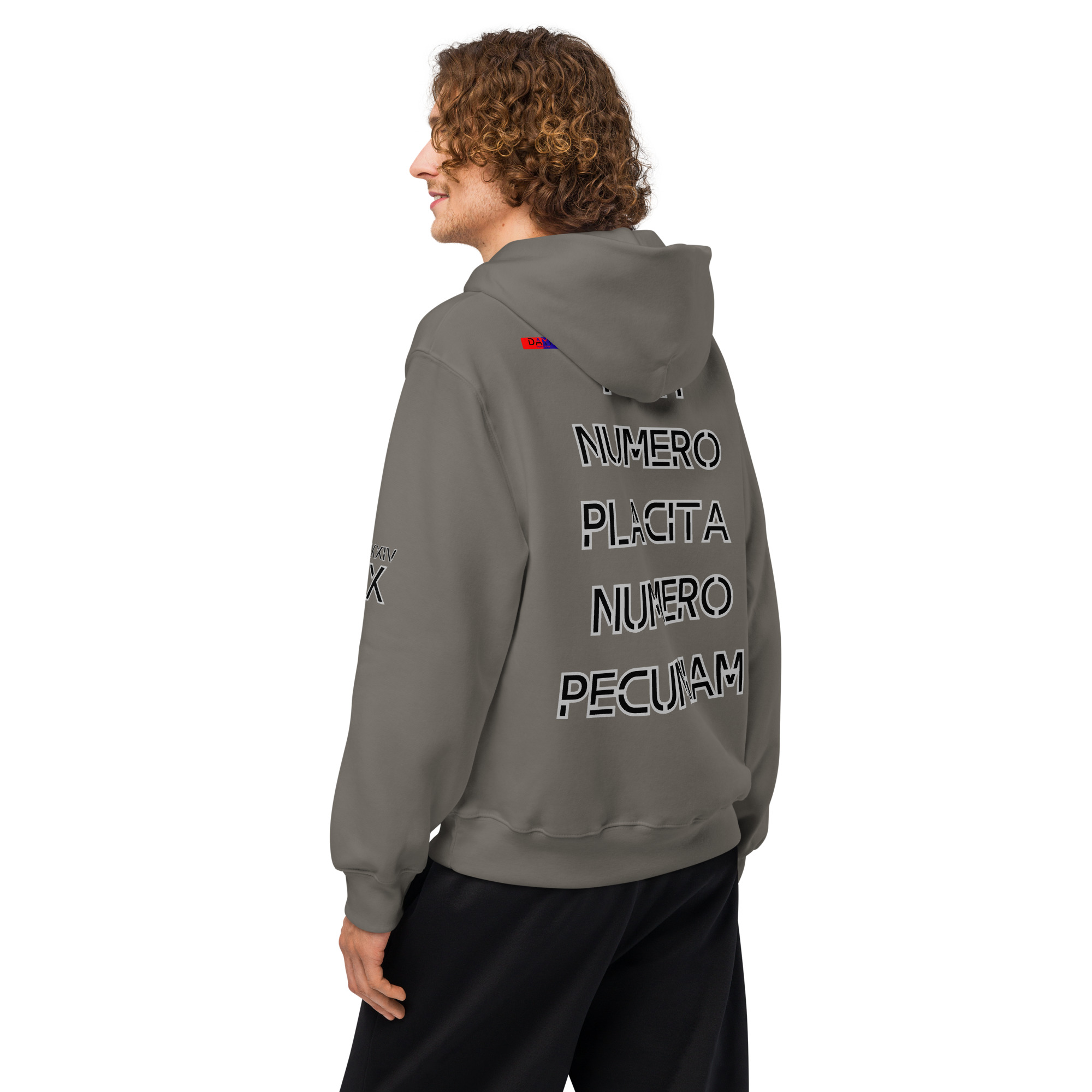 oversized heavyweight hoodie back latin 10