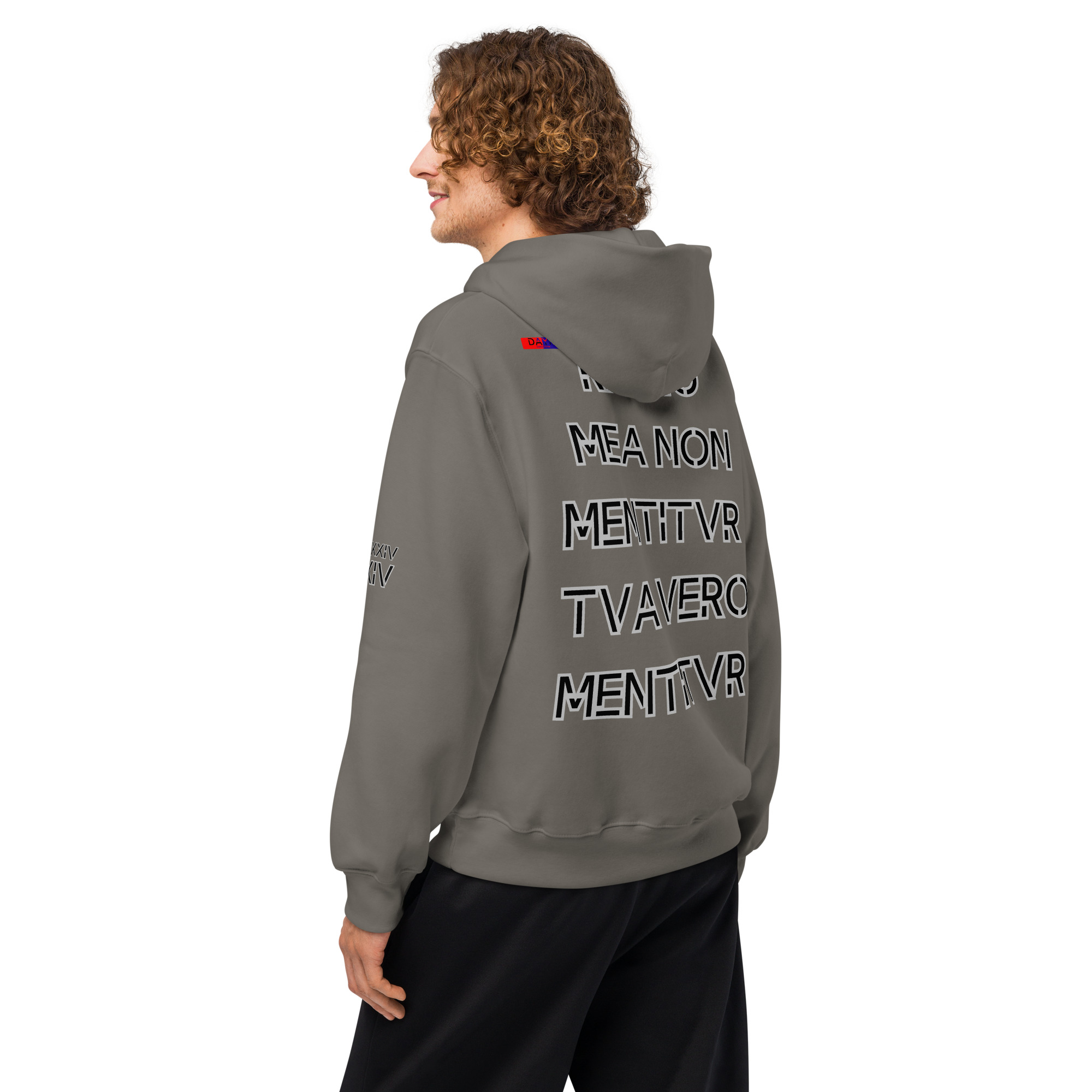 oversized heavyweight hoodie back latin 14
