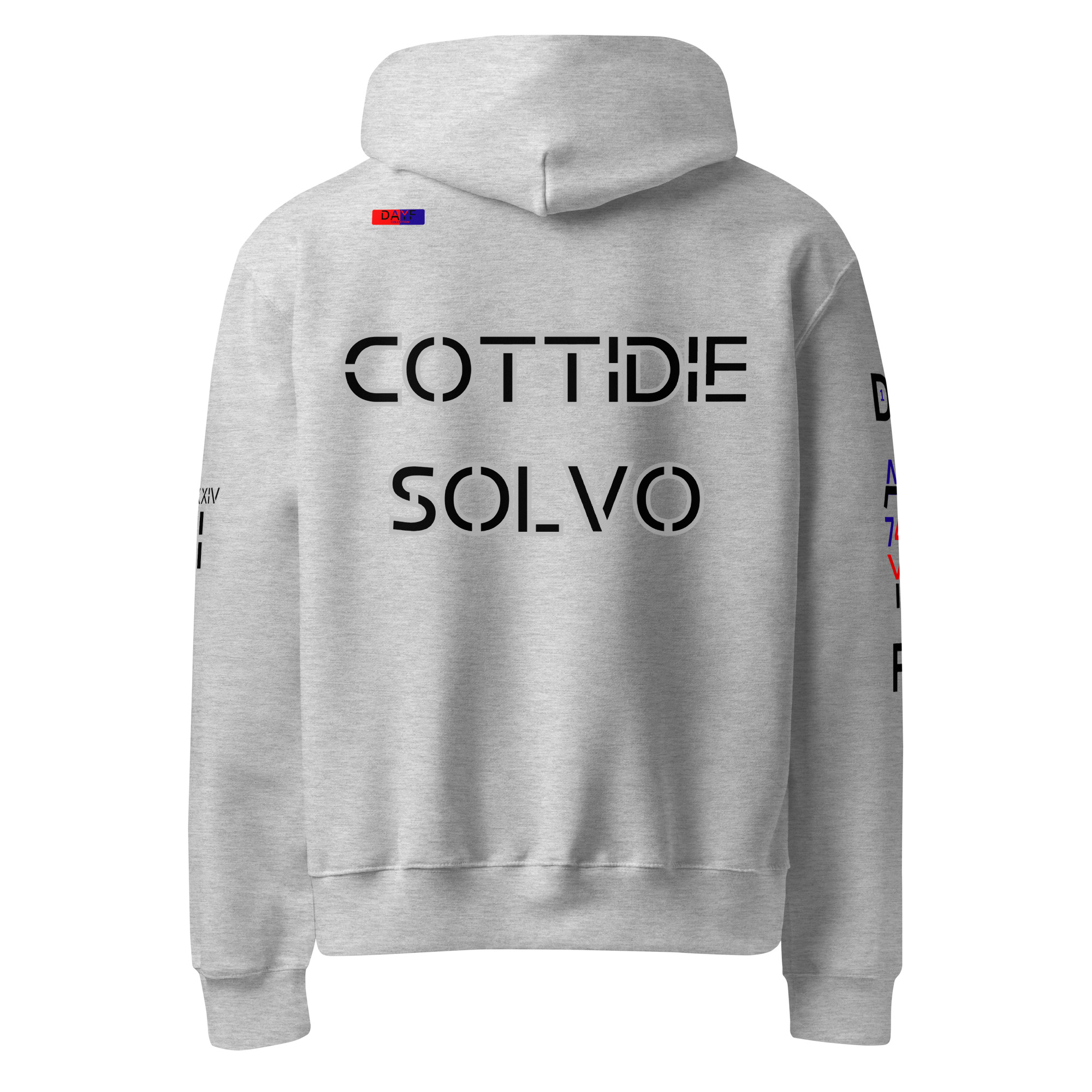 oversized heavyweight hoodie back latin 1