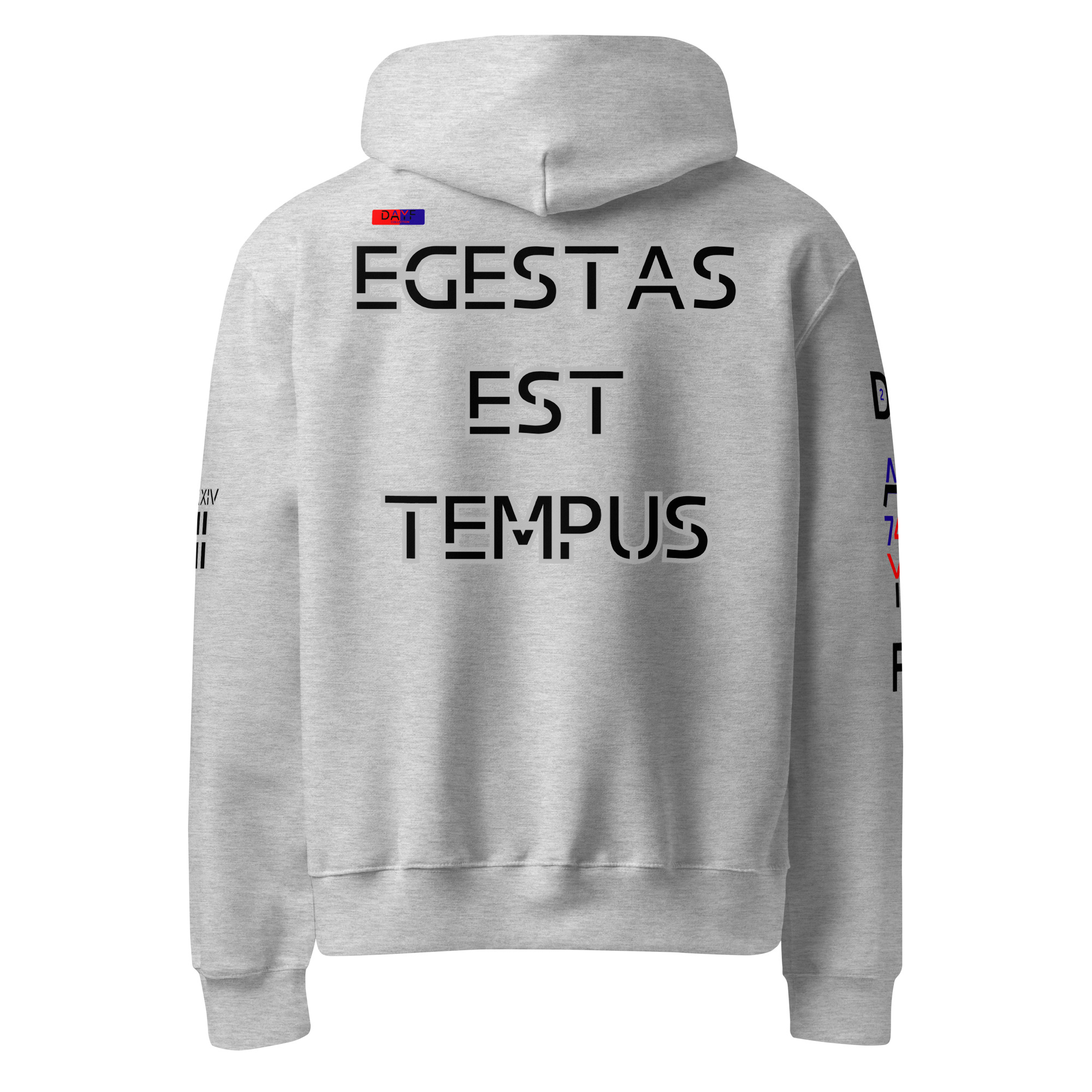 oversized heavyweight hoodie back latin 2