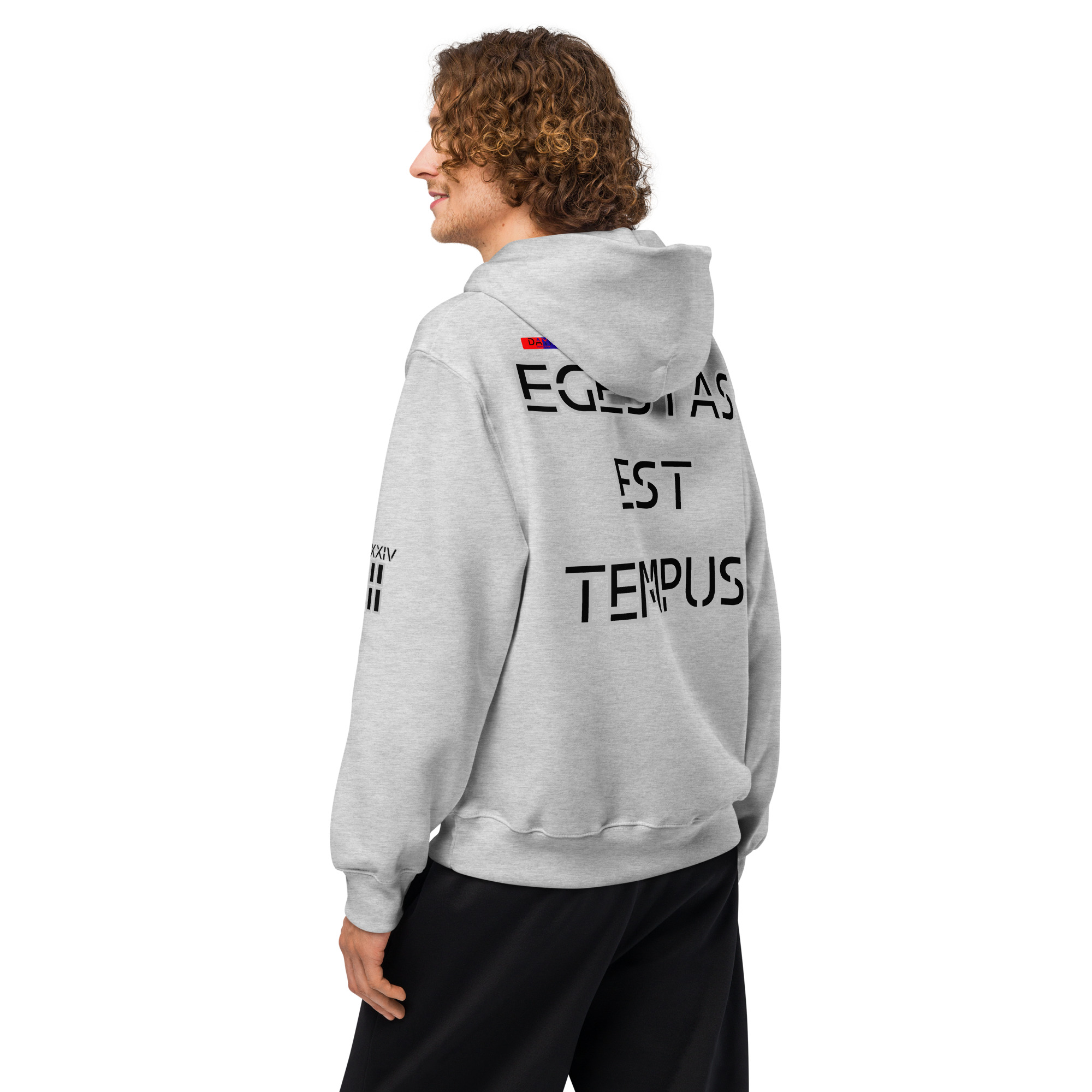 oversized heavyweight hoodie back latin 2