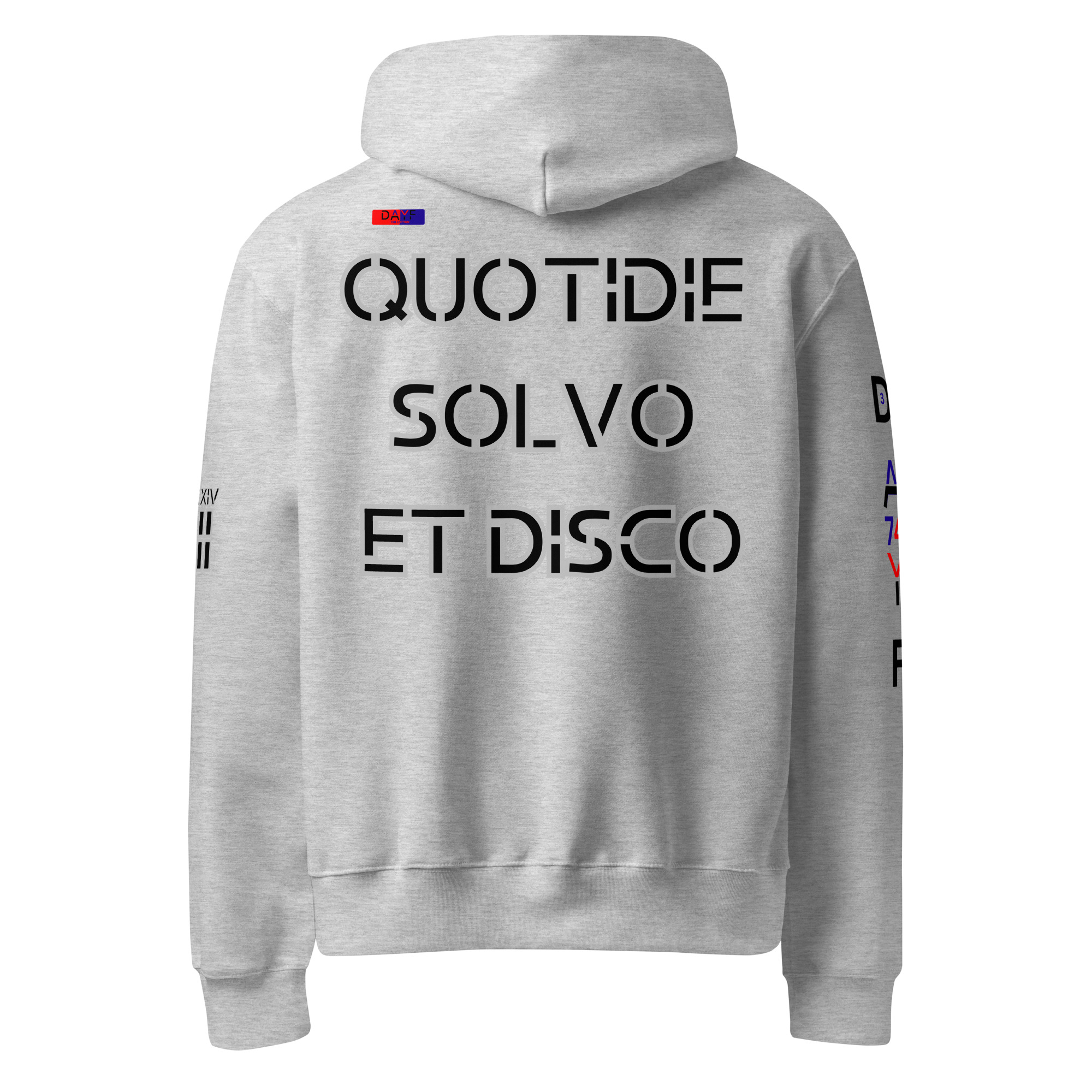 oversized heavyweight hoodie back latin 3