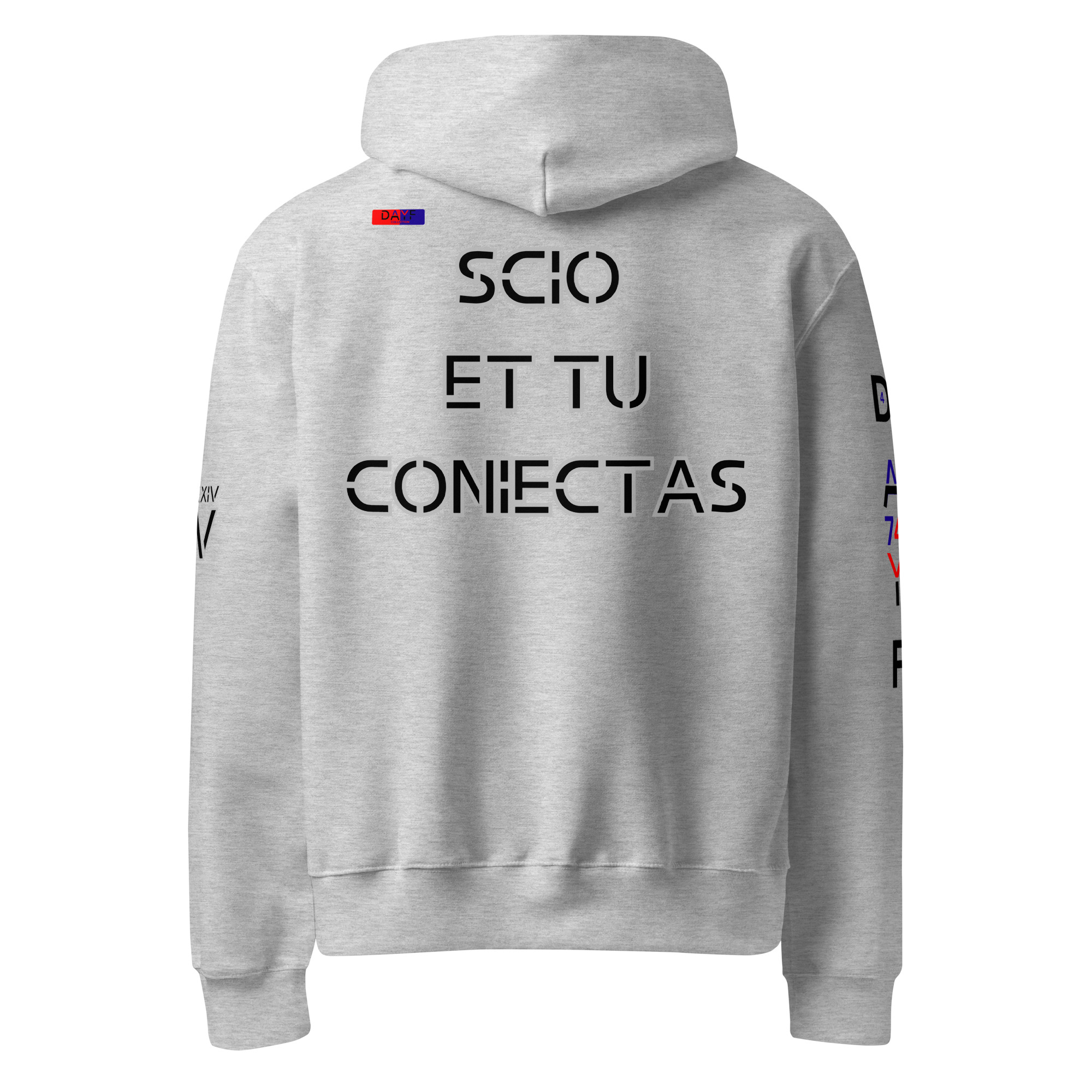 oversized heavyweight hoodie back latin 4