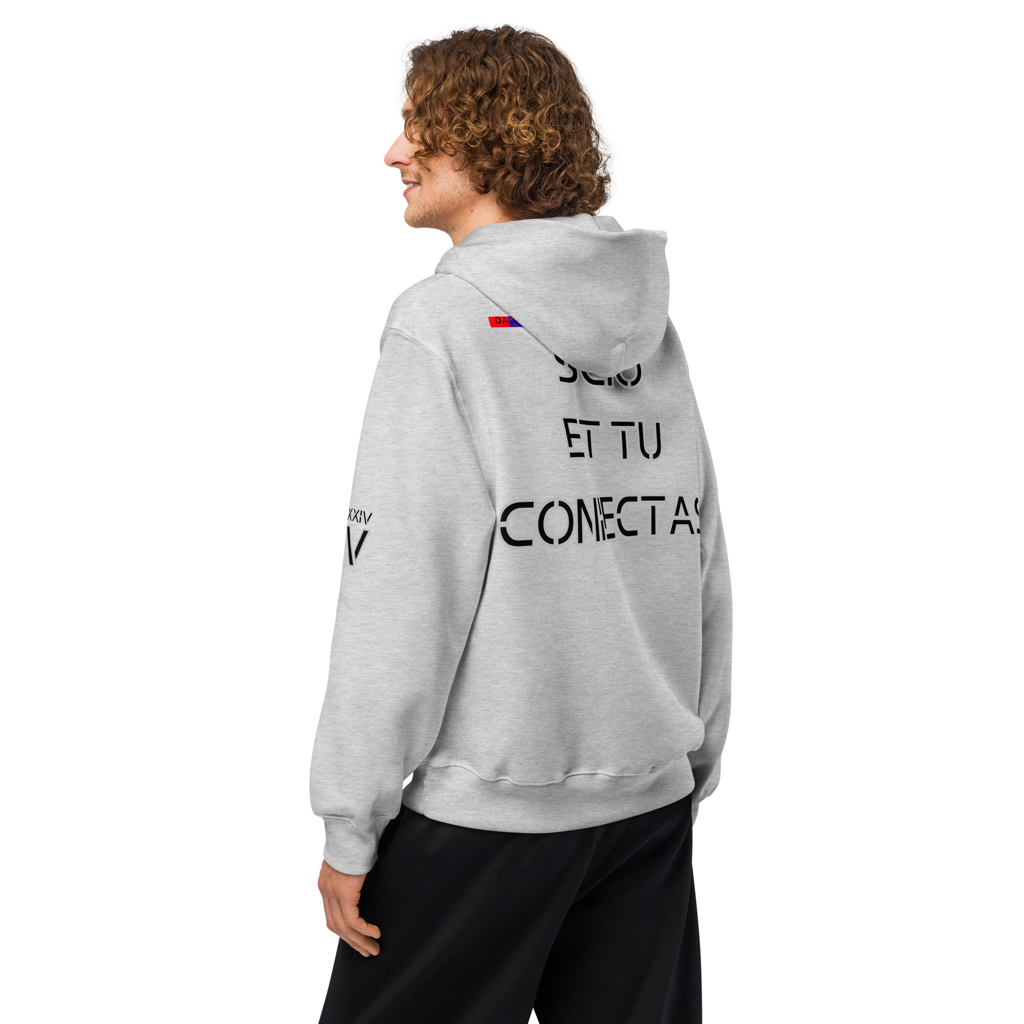oversized heavyweight hoodie back latin 4