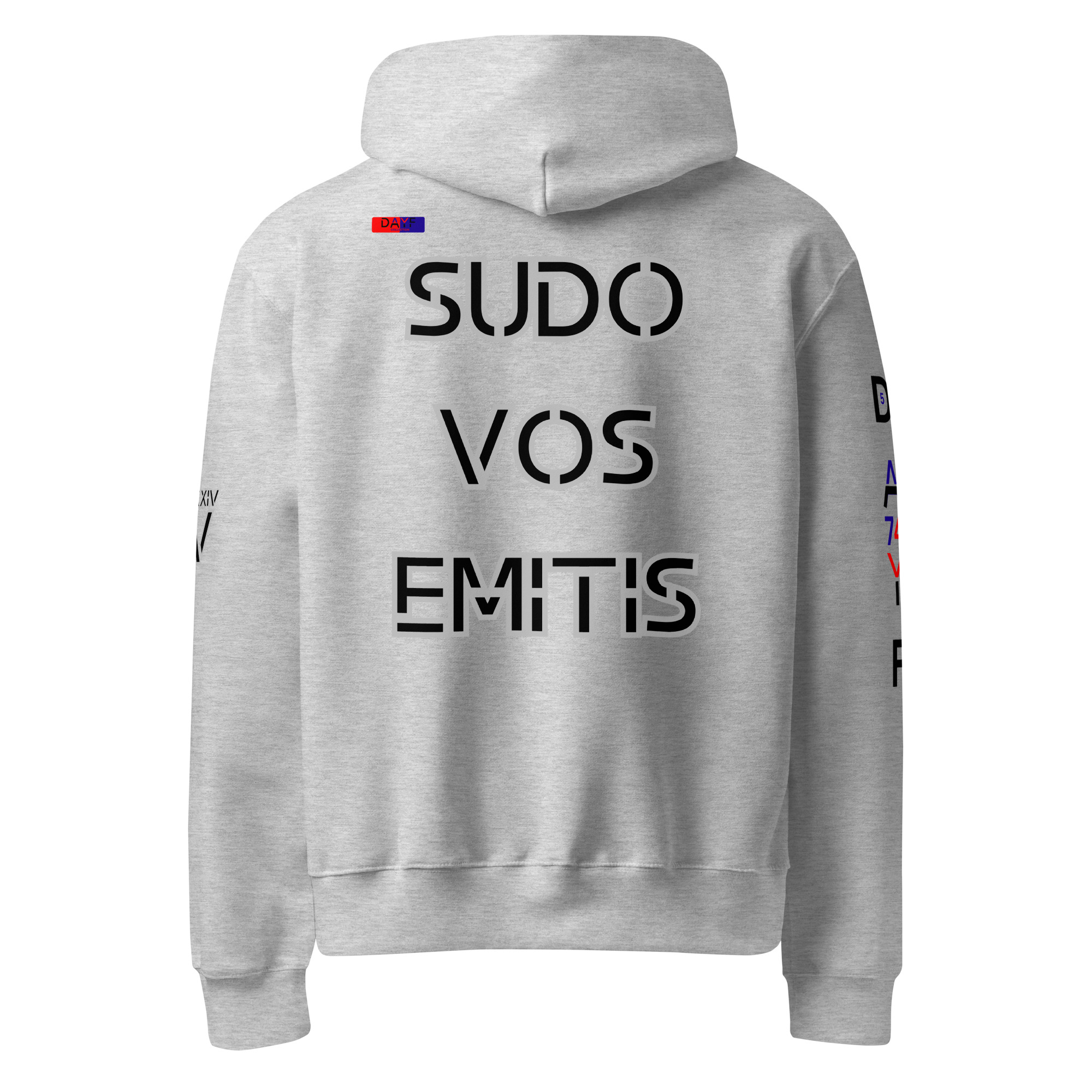 oversized heavyweight hoodie back latin 5