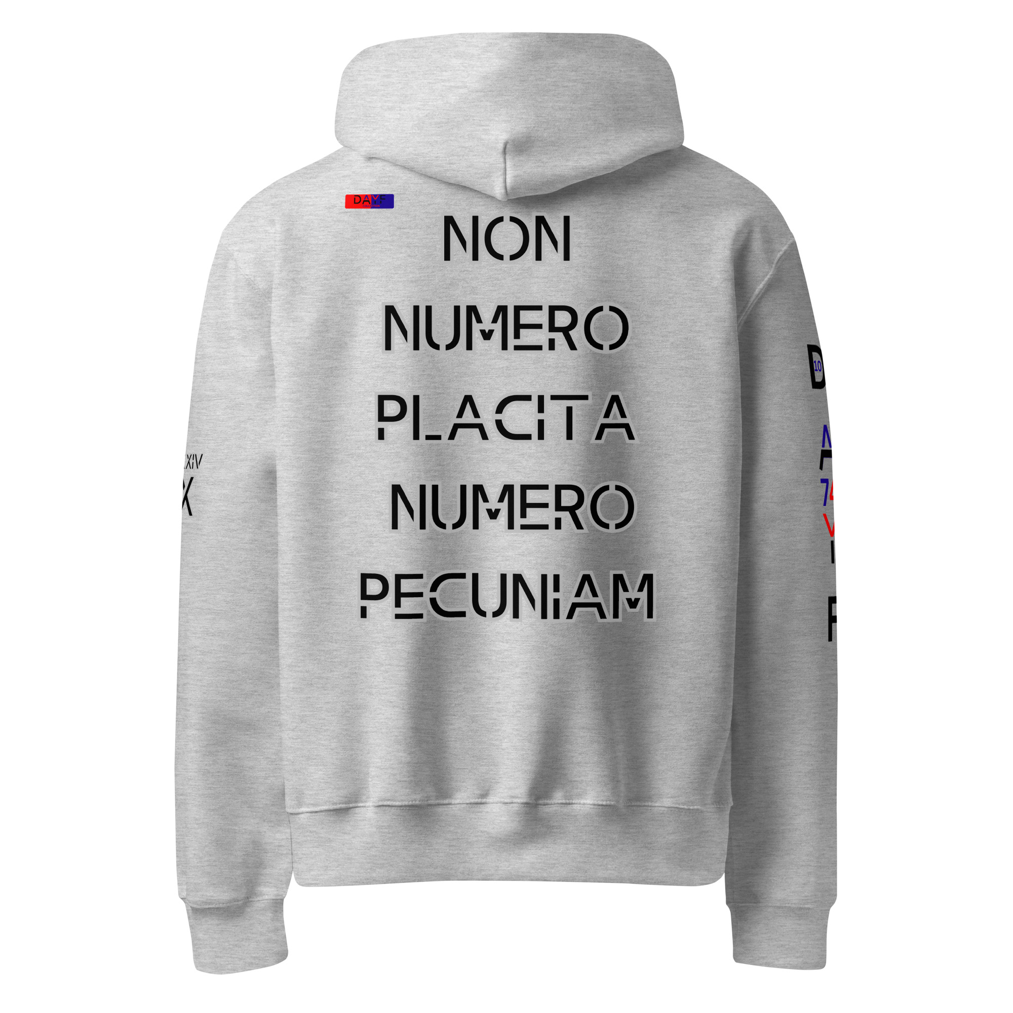 oversized heavyweight hoodie back latin 10