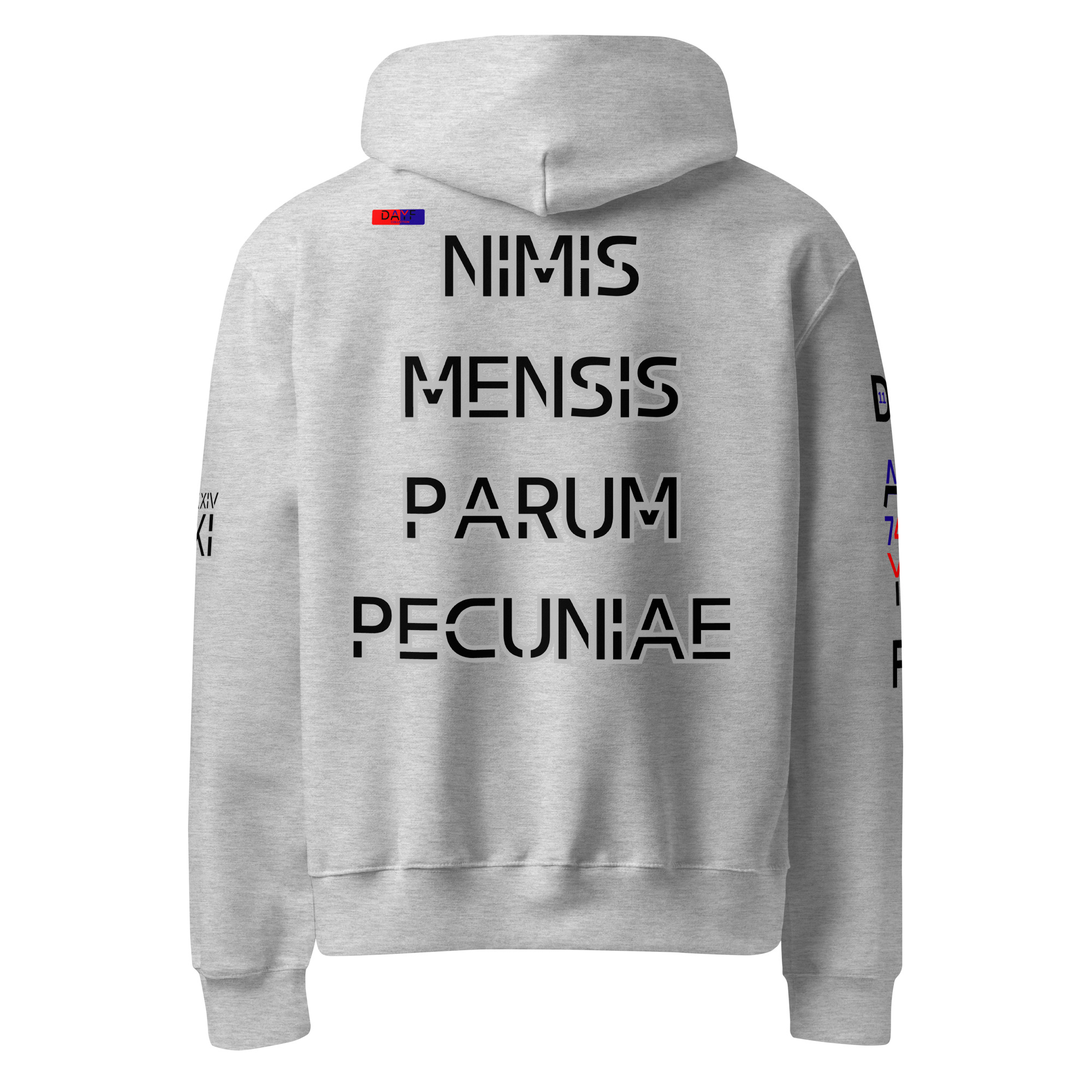 oversized heavyweight hoodie back latin 11