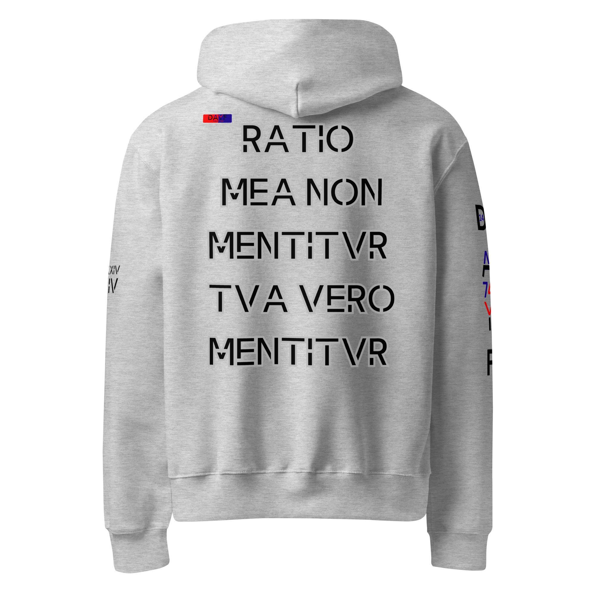 oversized heavyweight hoodie back latin 14