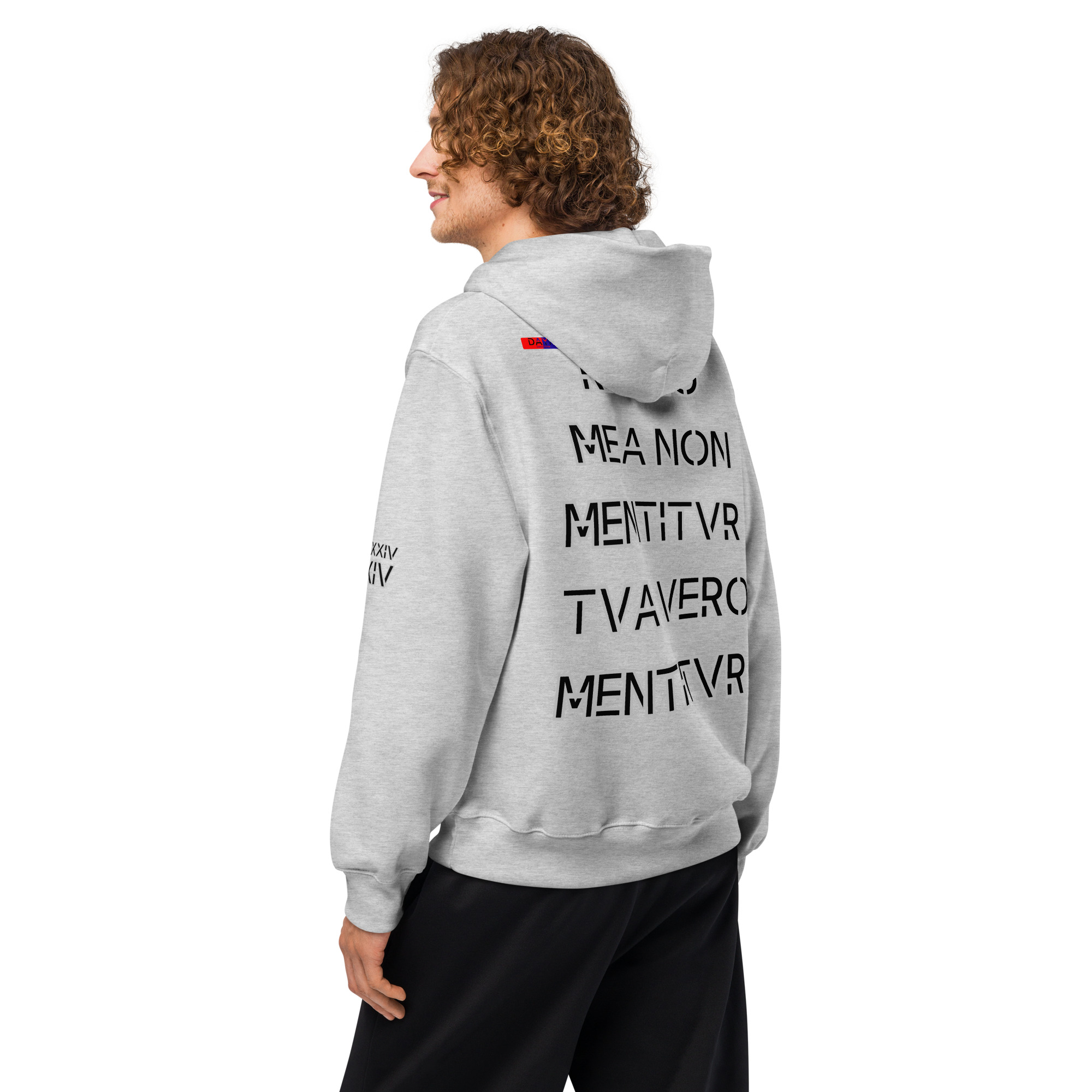 oversized heavyweight hoodie back latin 14