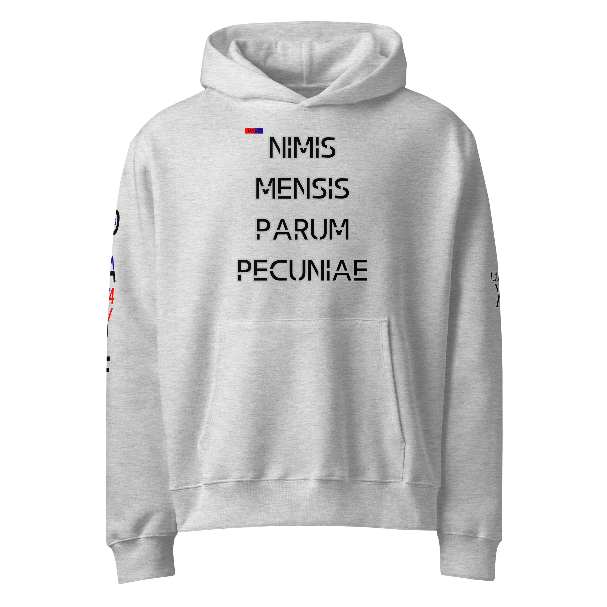 oversized heavyweight hoodie front latin 11