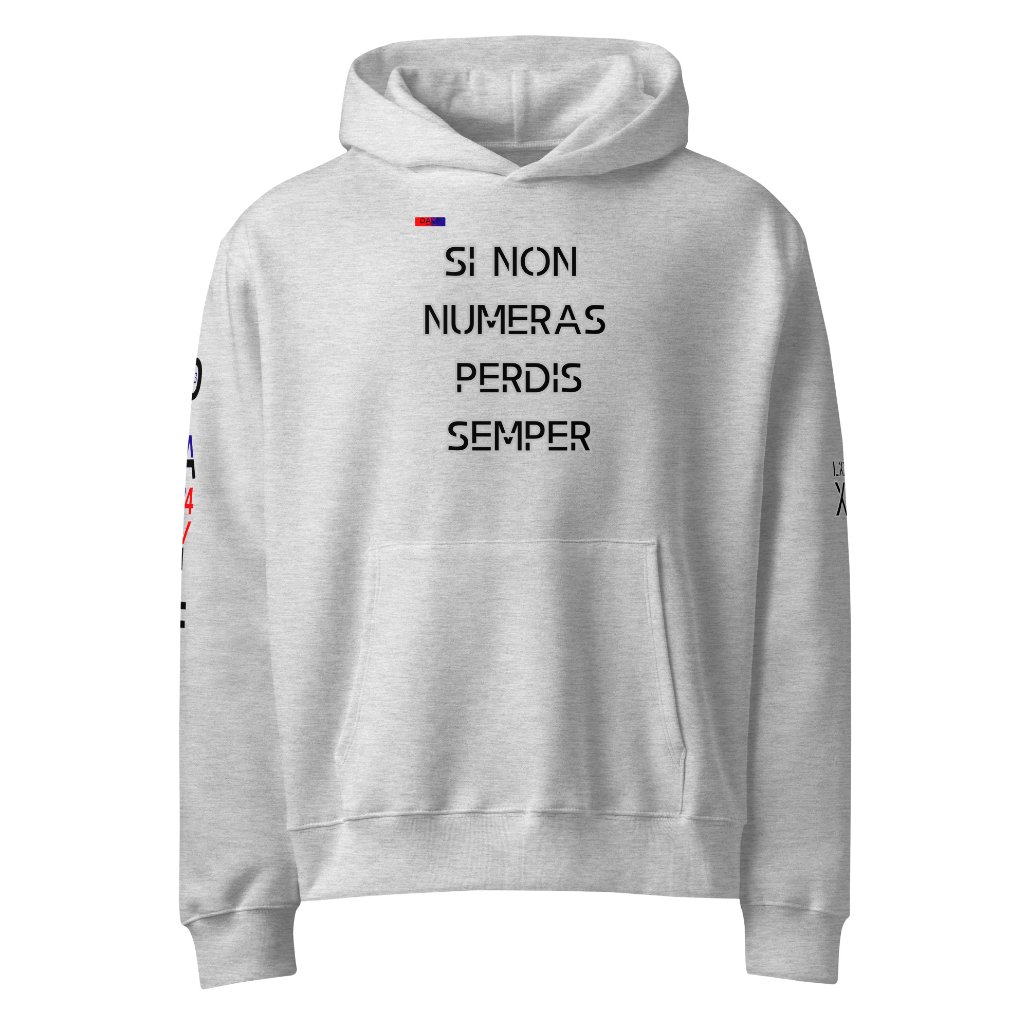 oversized heavyweight hoodie front latin 13