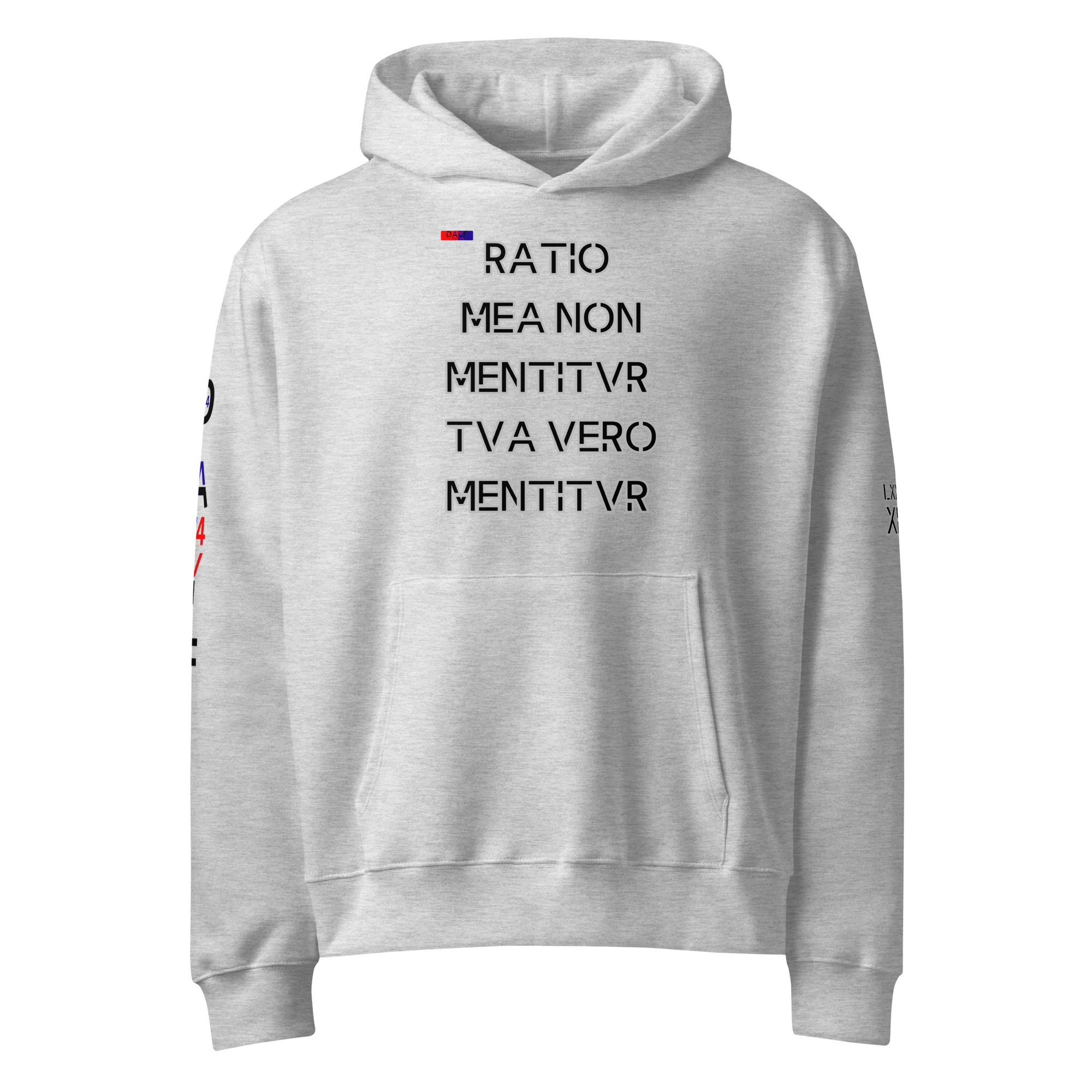 oversized heavyweight hoodie front latin 14