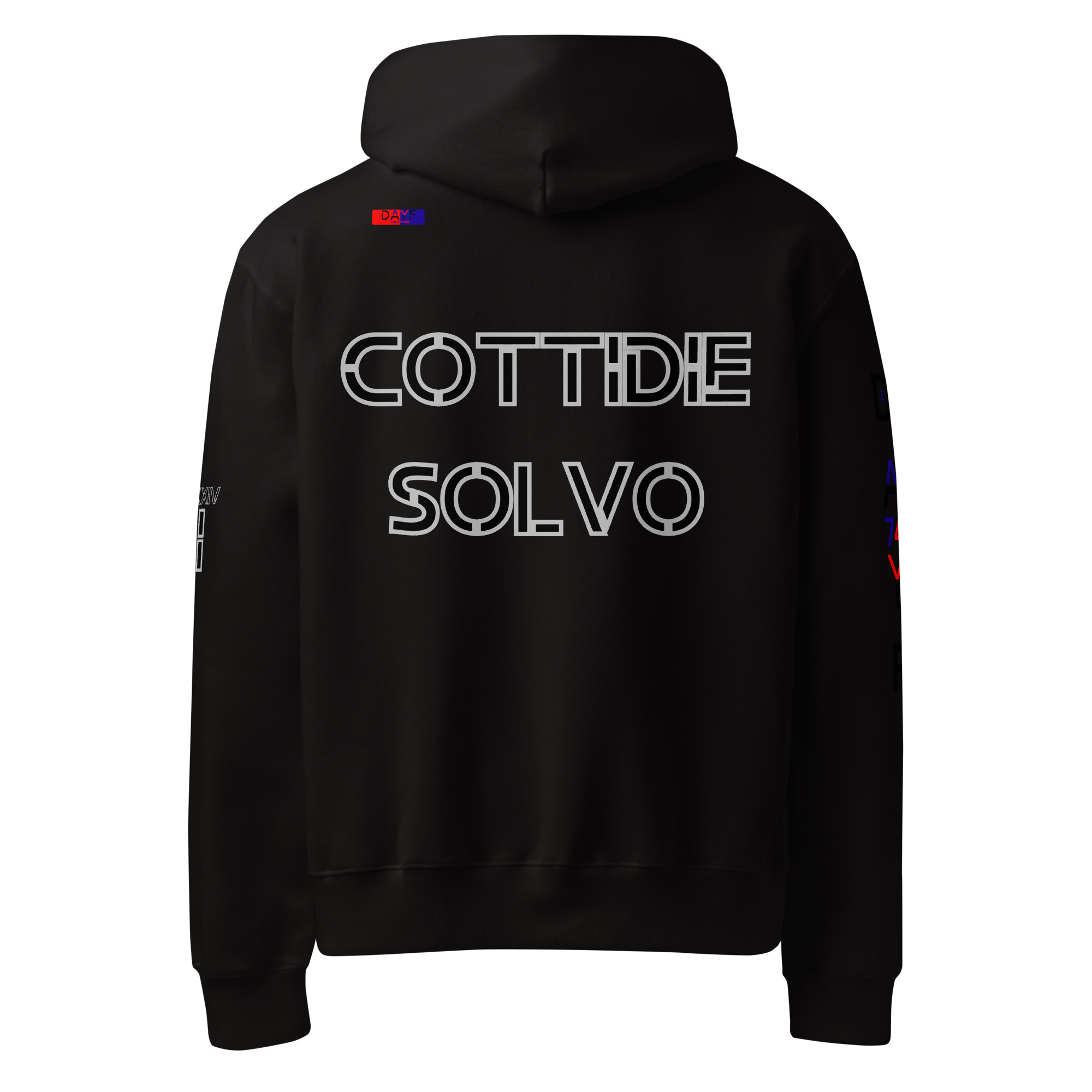 oversized heavyweight hoodie back latin 1