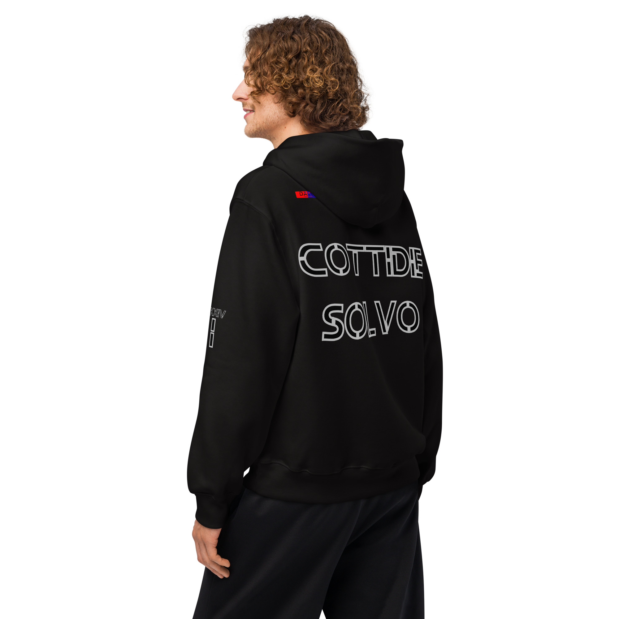 oversized heavyweight hoodie back latin 1