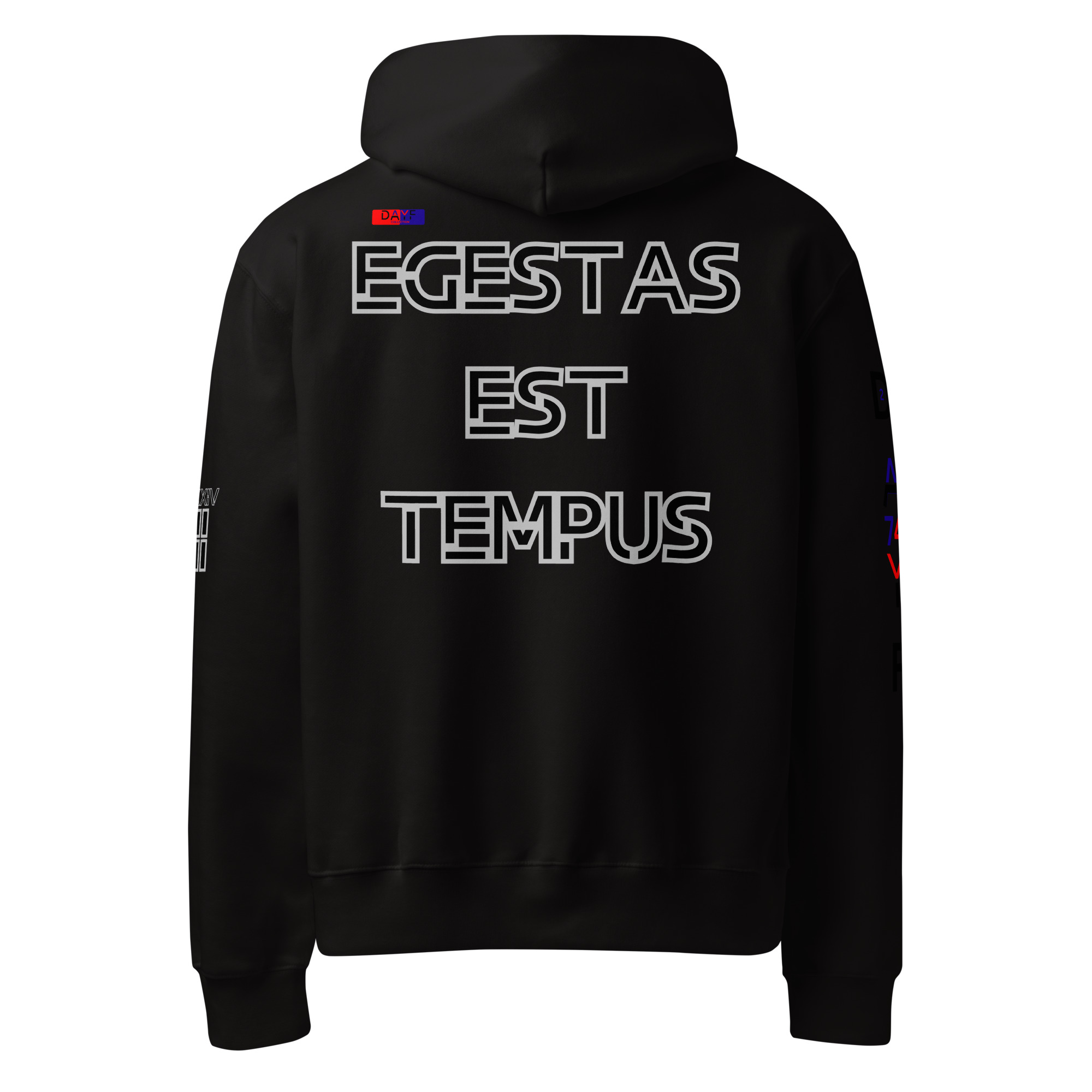 oversized heavyweight hoodie back latin 2