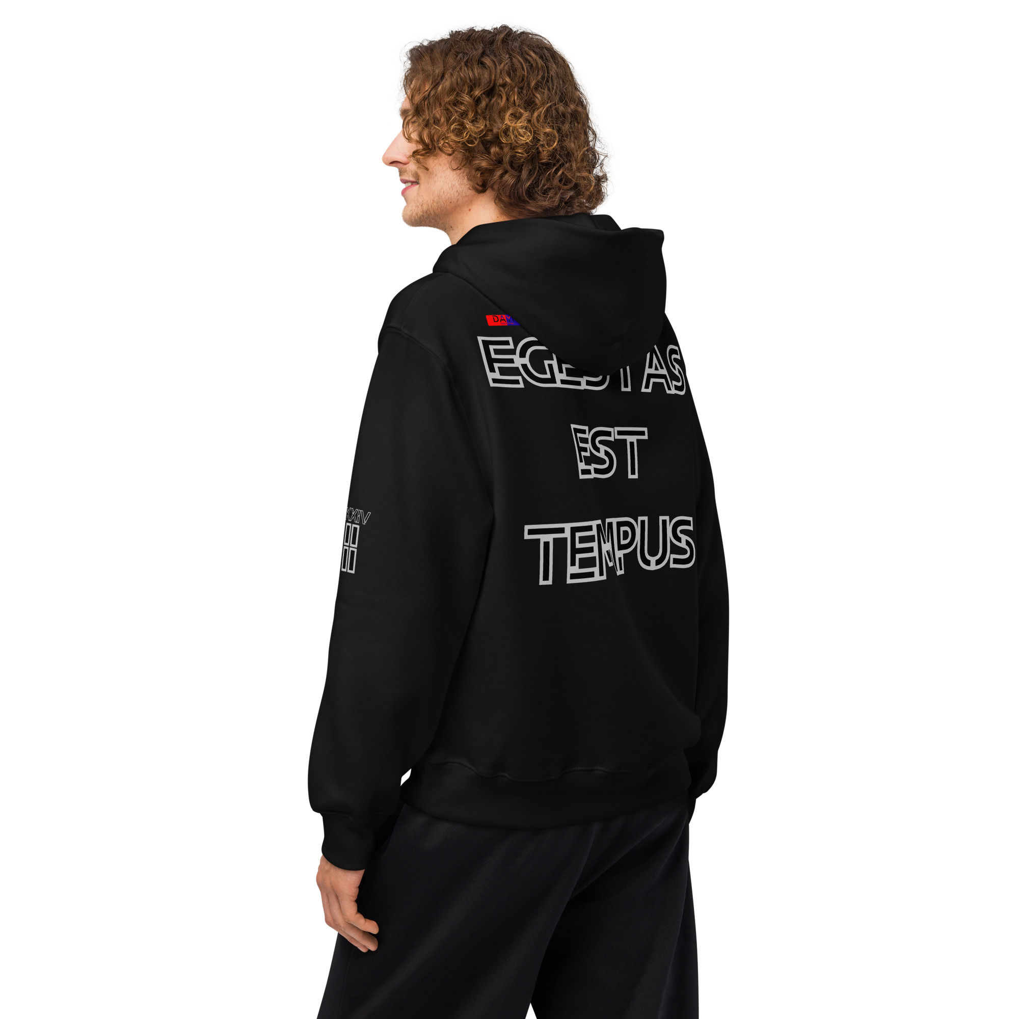oversized heavyweight hoodie back latin 2