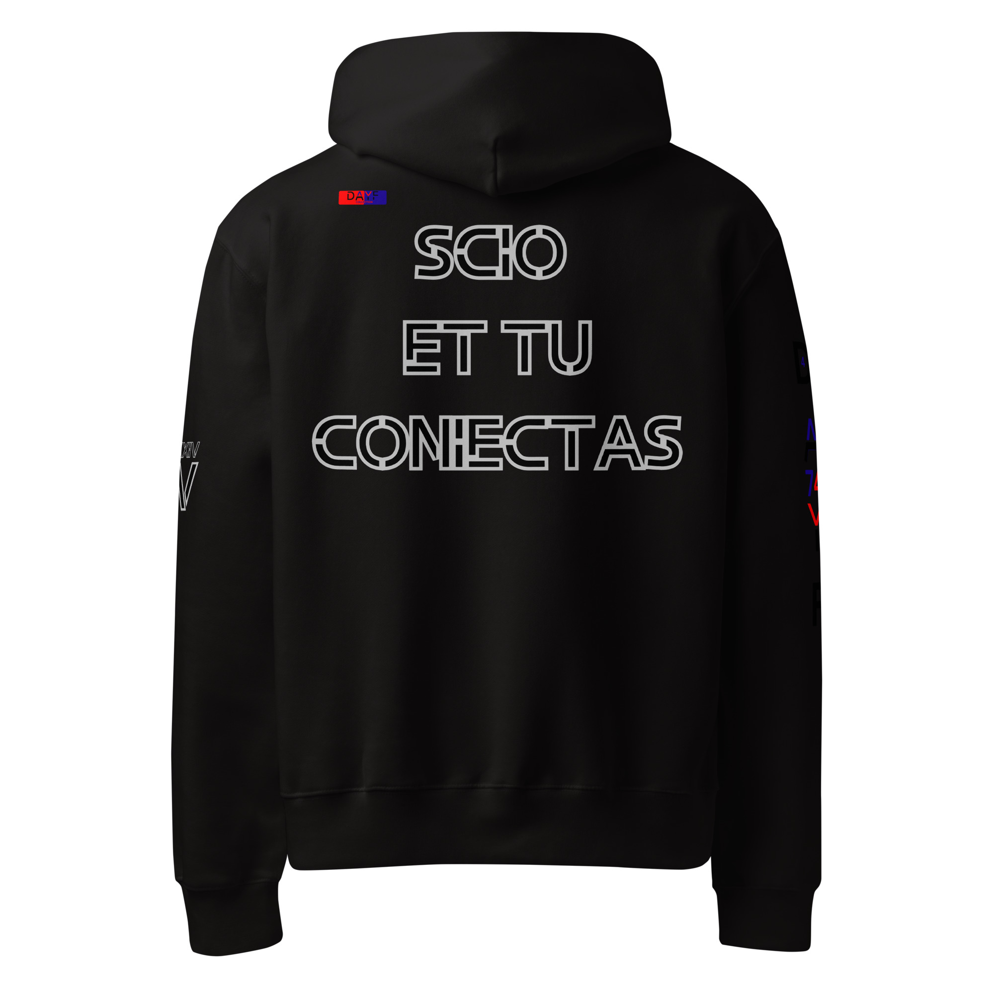 oversized heavyweight hoodie back latin 4
