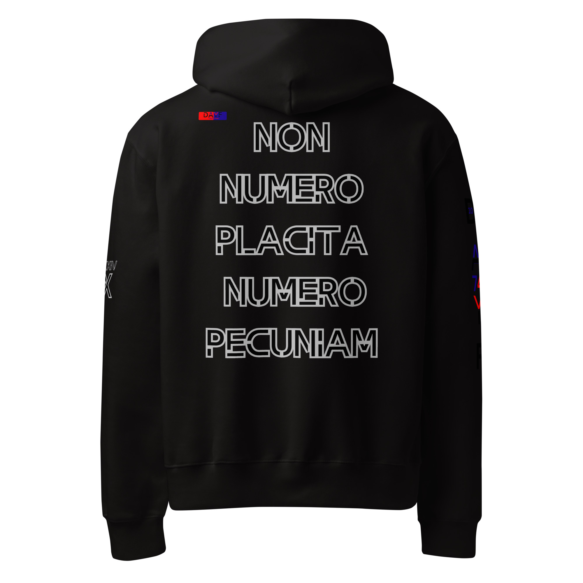 oversized heavyweight hoodie back latin 10