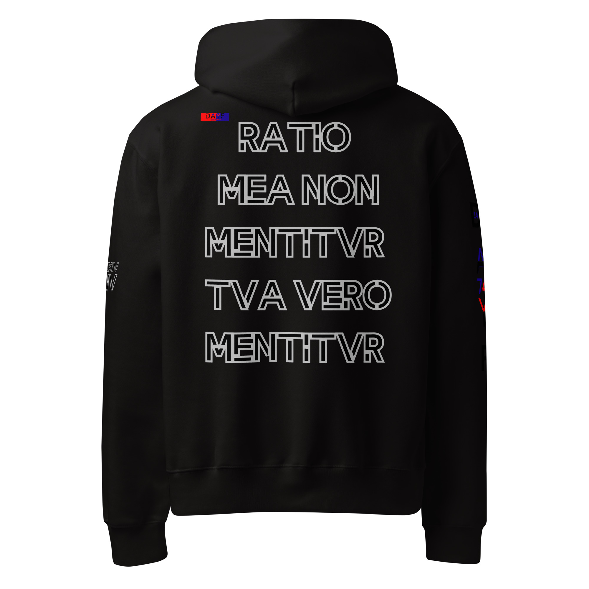 oversized heavyweight hoodie back latin 14