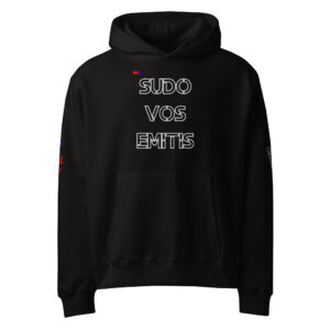 oversized heavyweight hoodie front latin 5