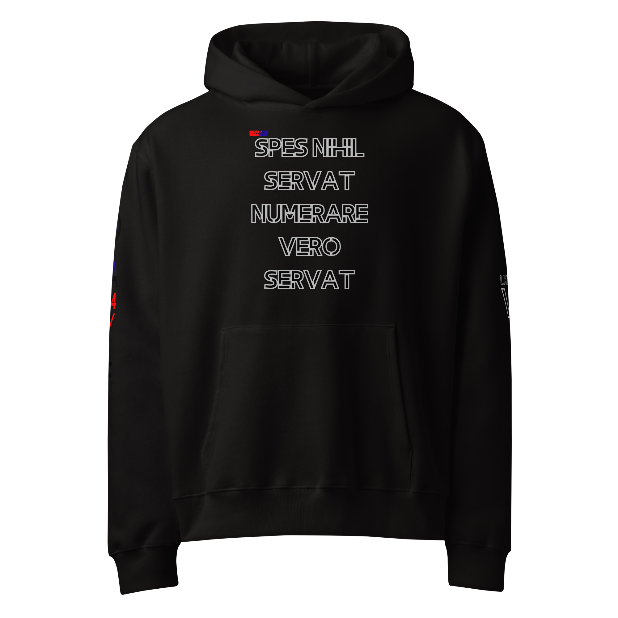 oversized heavyweight hoodie front latin 6
