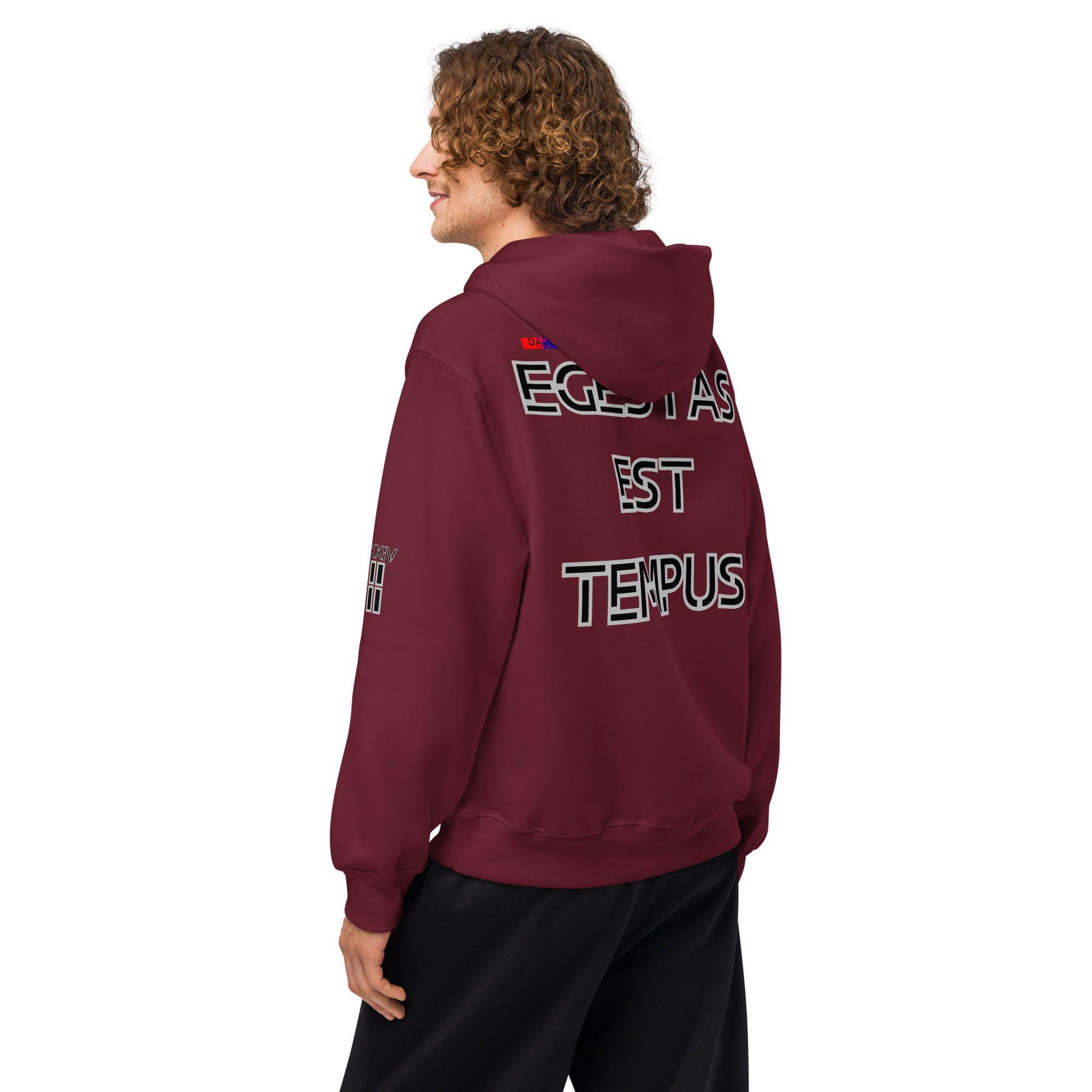 oversized heavyweight hoodie back latin 2
