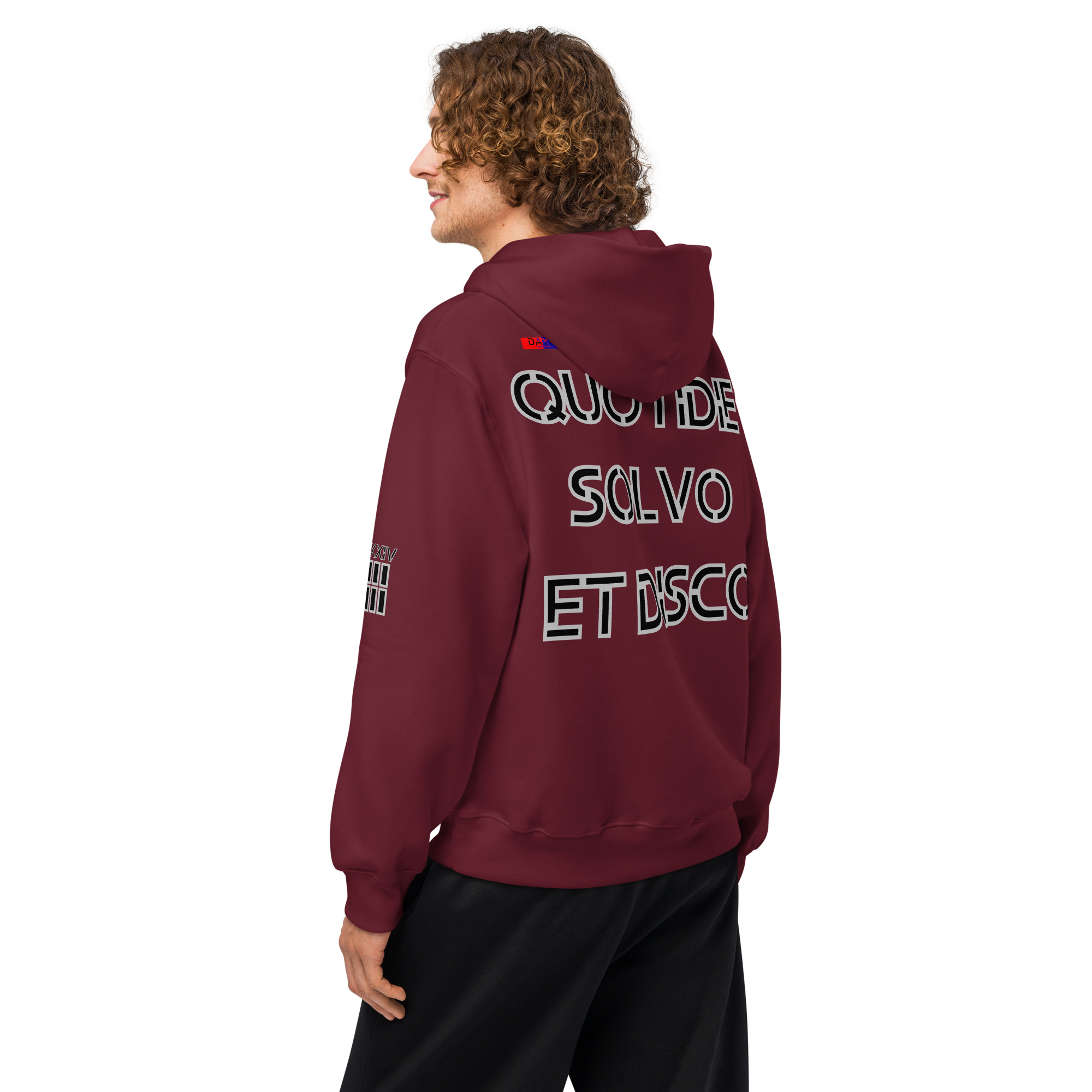 oversized heavyweight hoodie back latin 3
