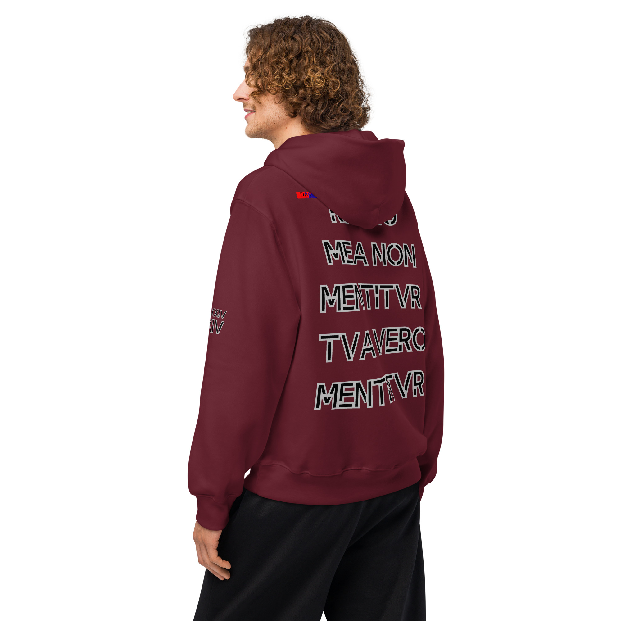 oversized heavyweight hoodie back latin 14