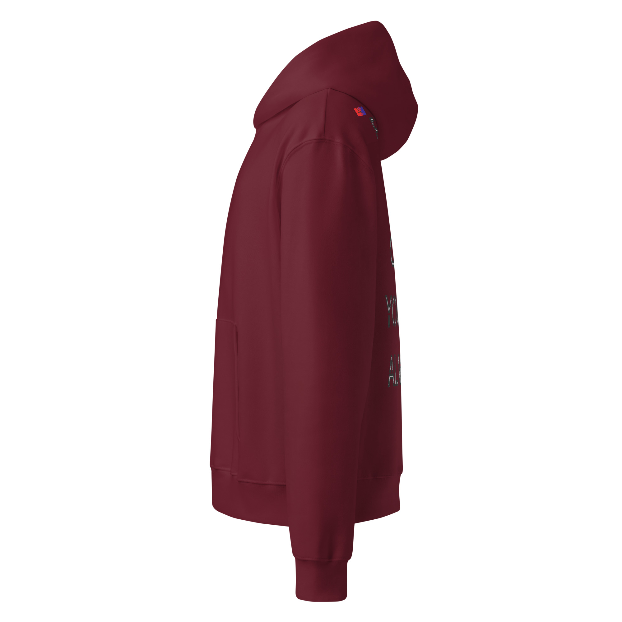 oversized heavyweight hoodie back 13