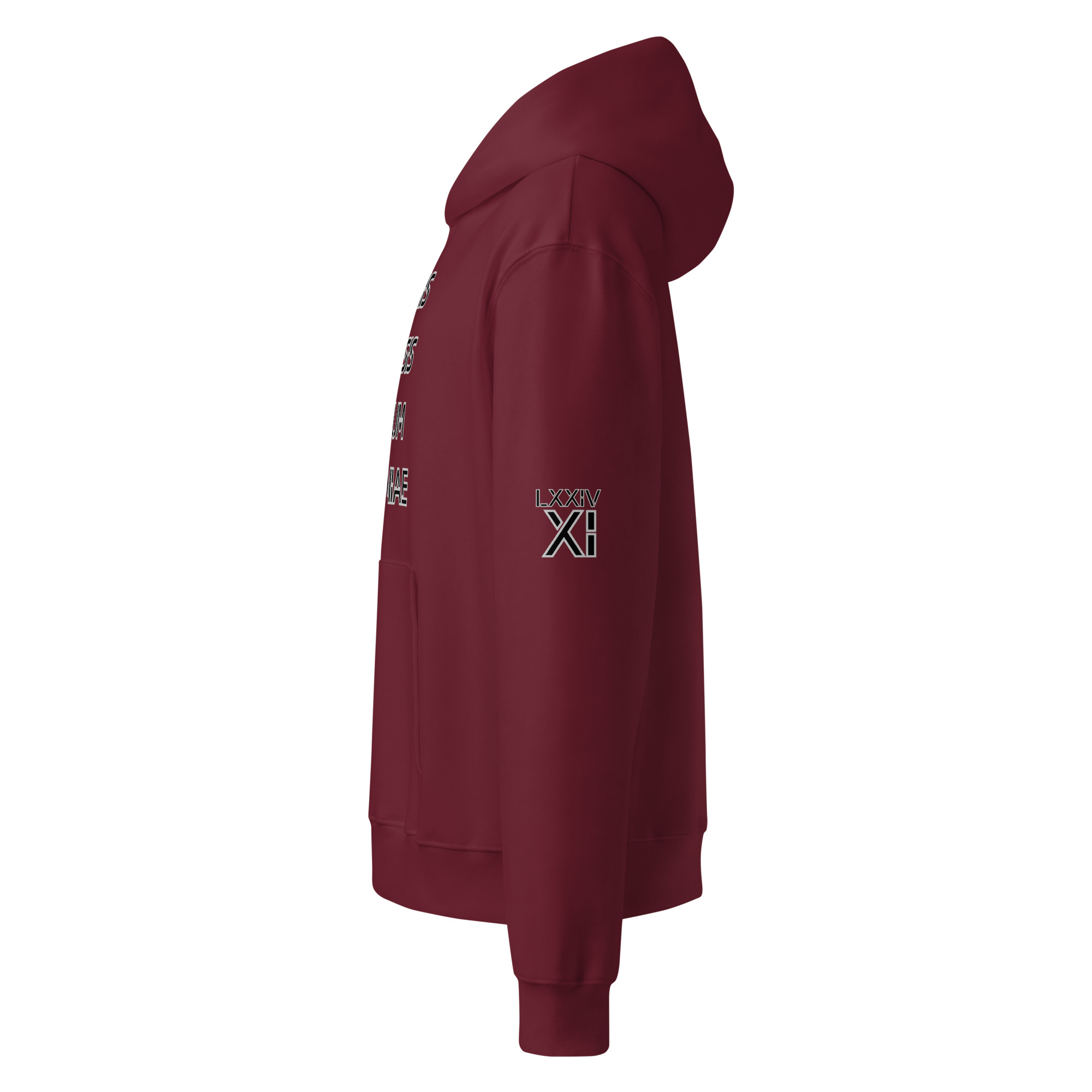 oversized heavyweight hoodie front latin 11