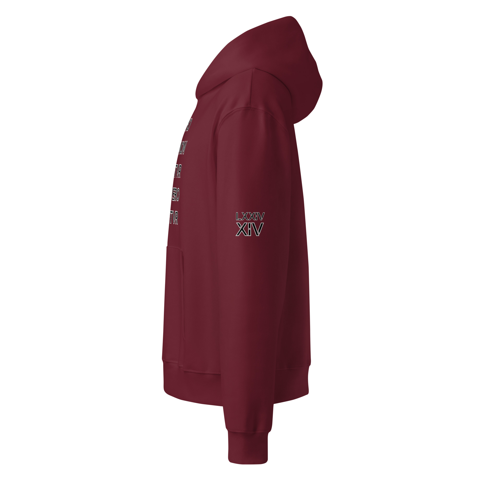 oversized heavyweight hoodie front latin 14