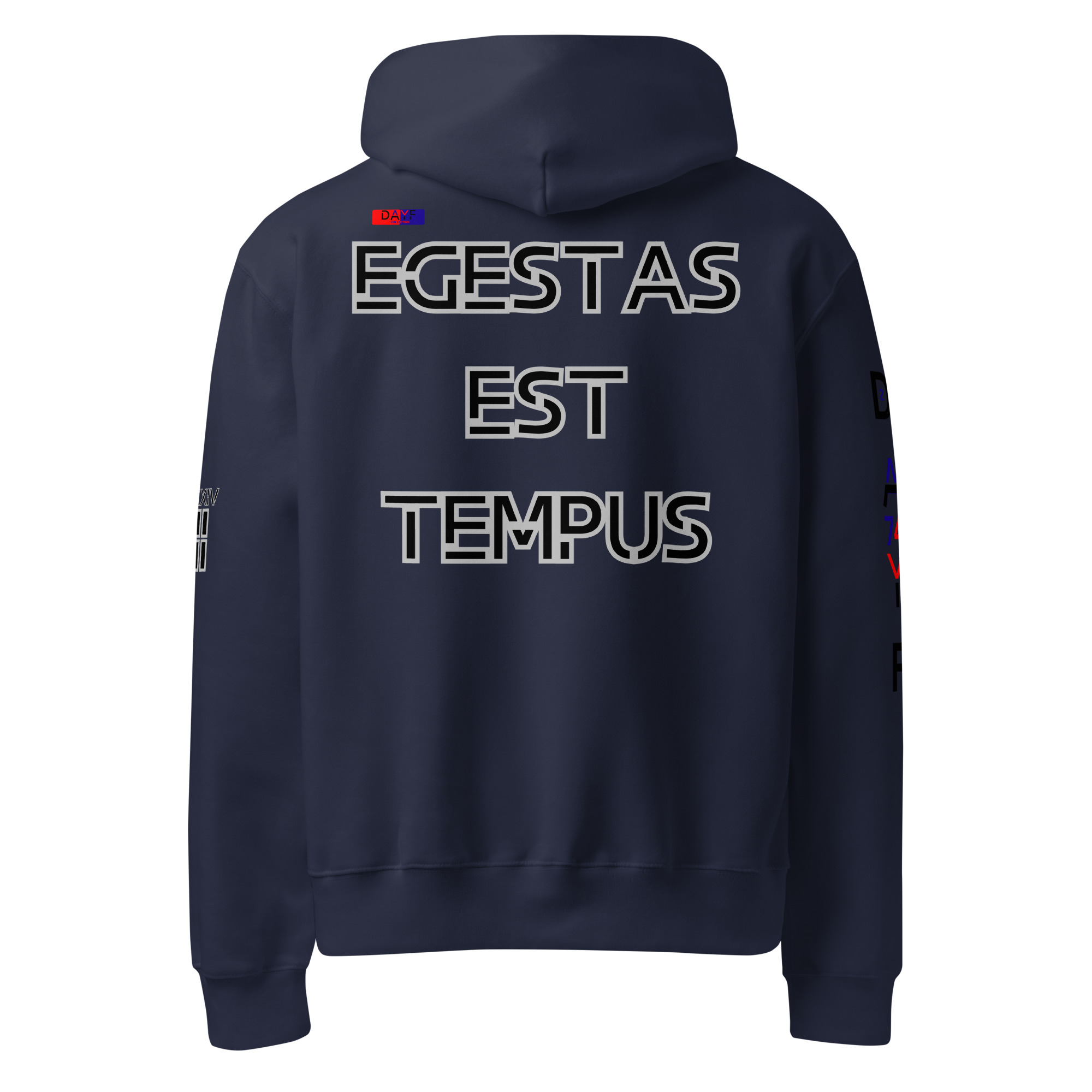 oversized heavyweight hoodie back latin 2