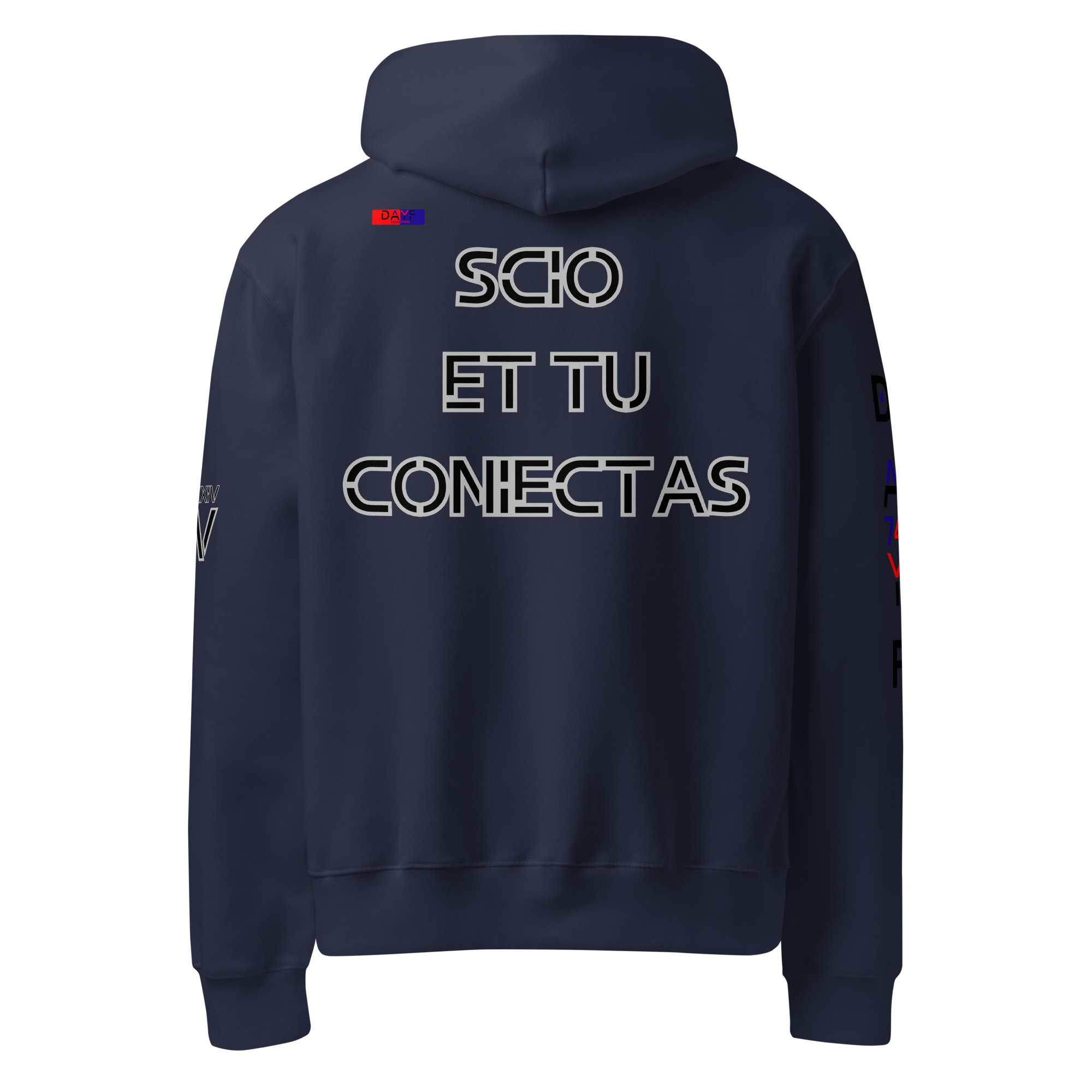 oversized heavyweight hoodie back latin 4