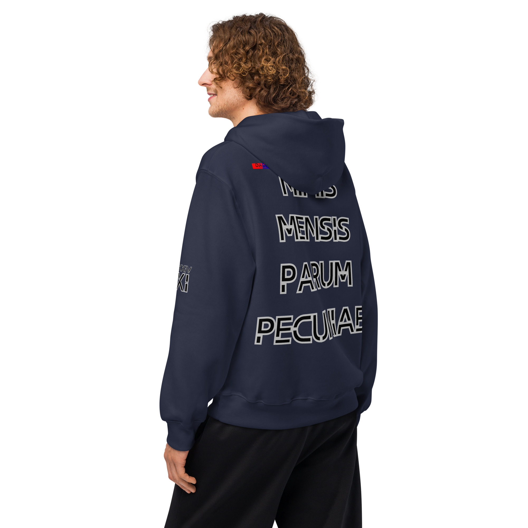 oversized heavyweight hoodie back latin 11