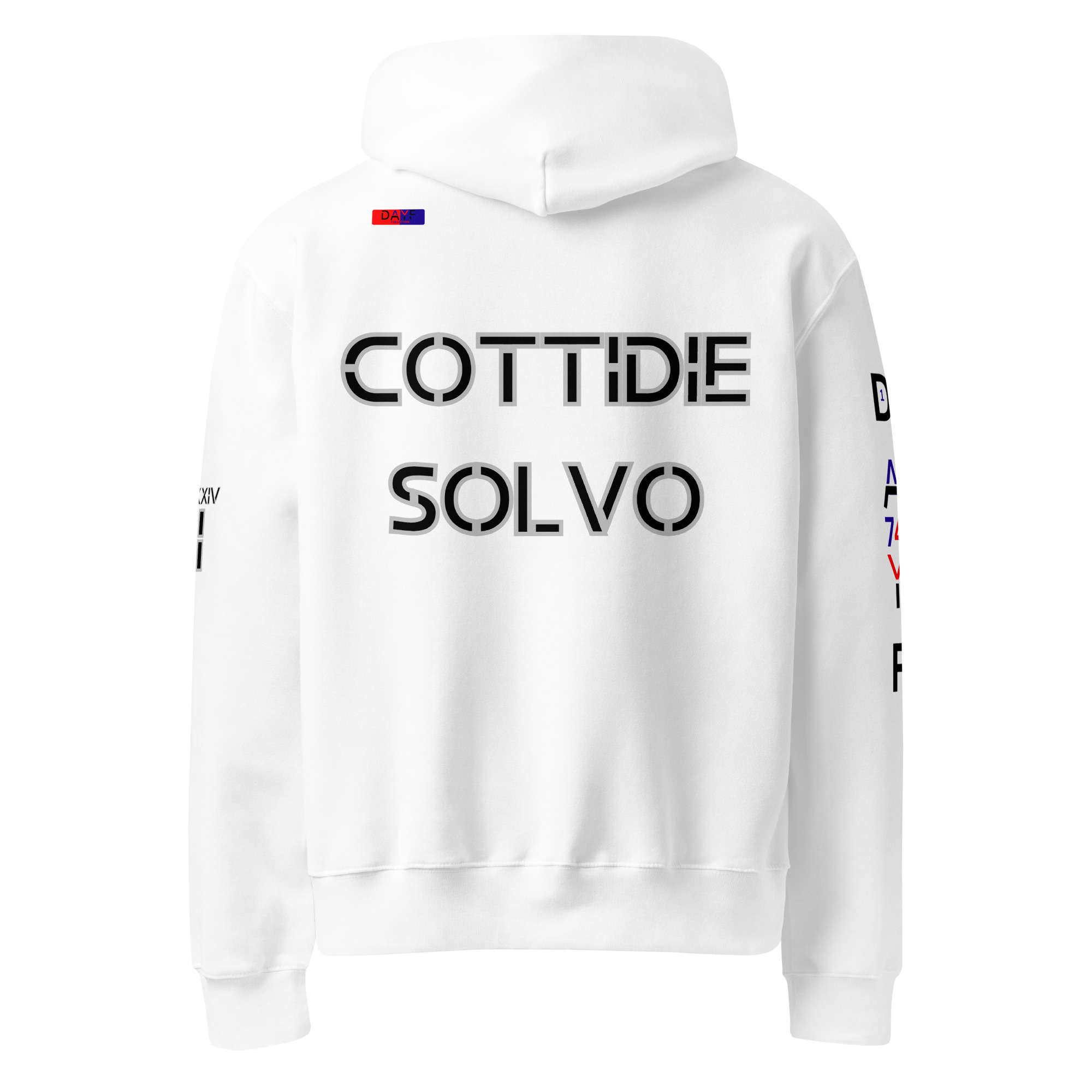 oversized heavyweight hoodie back latin 1