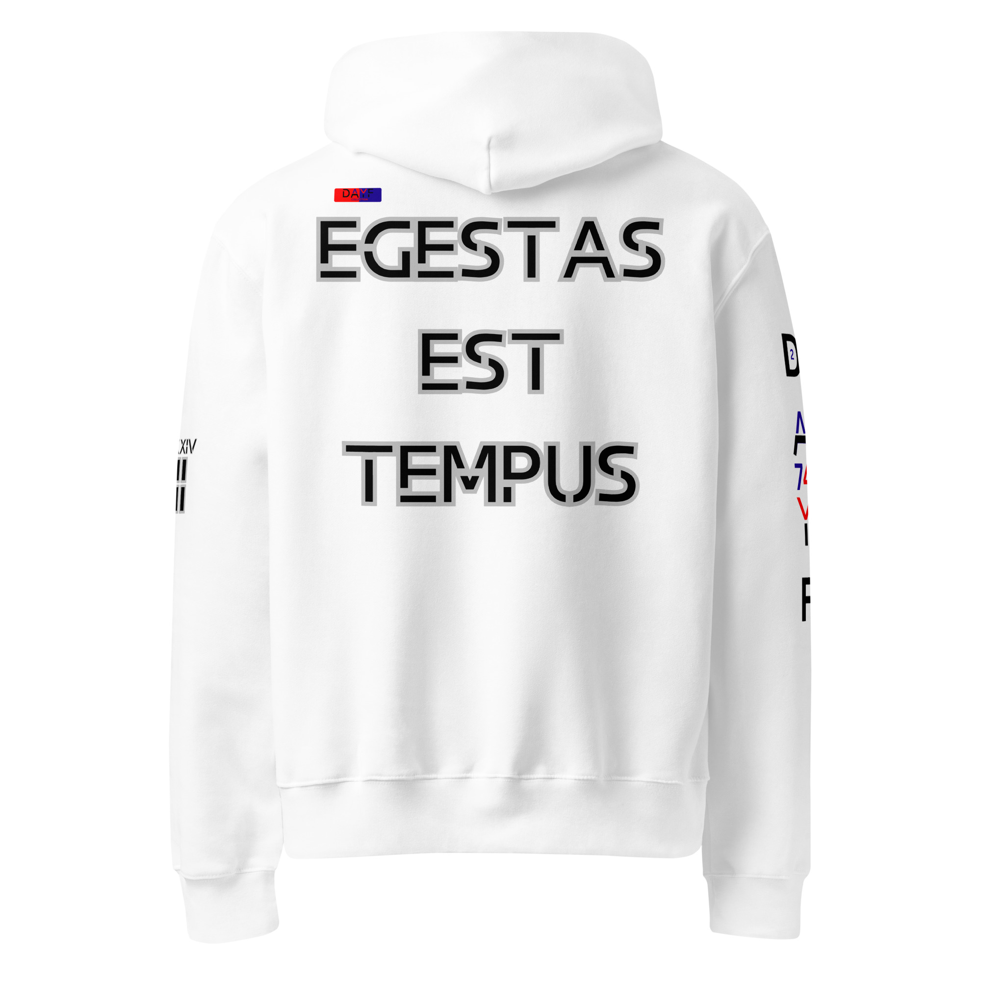 oversized heavyweight hoodie back latin 2