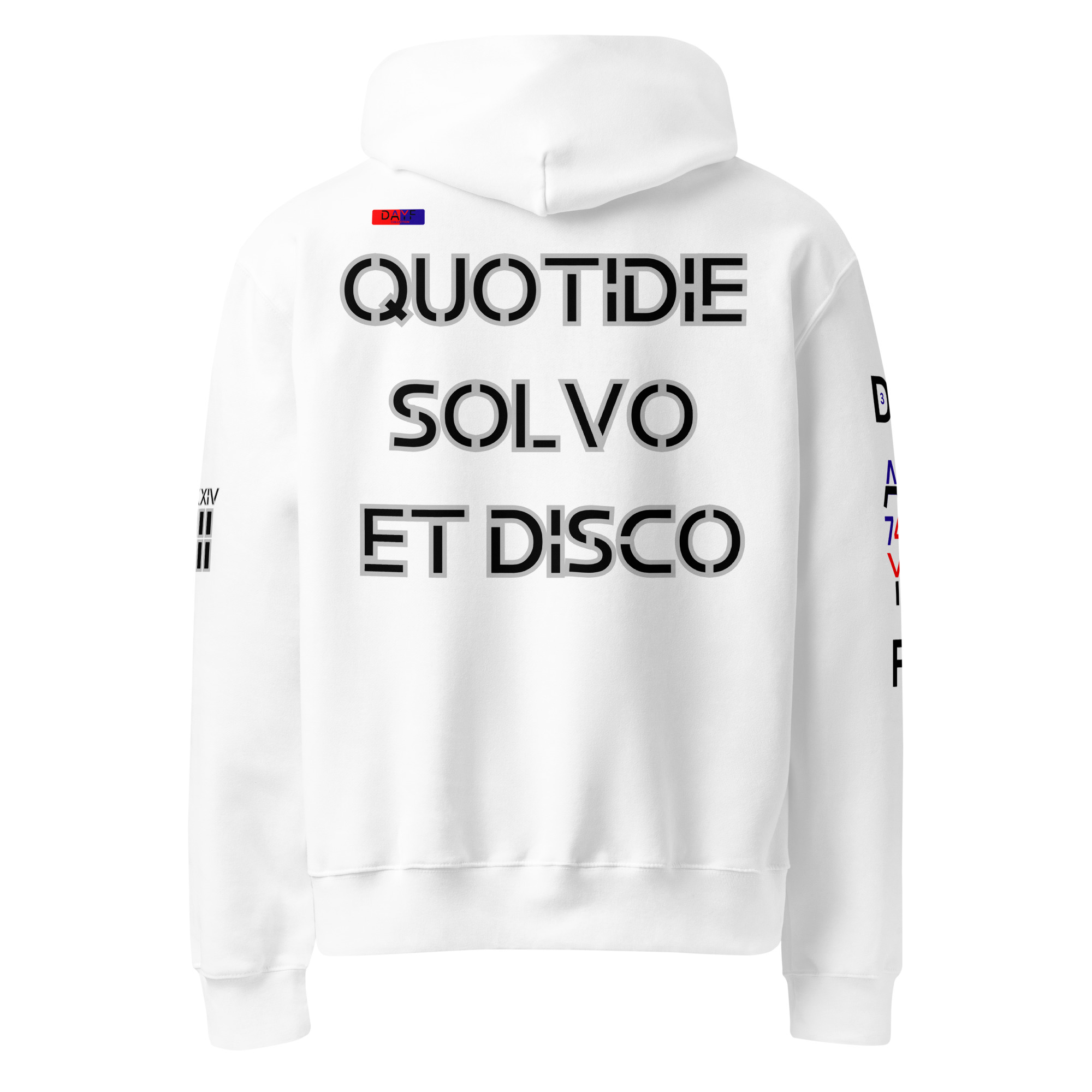 oversized heavyweight hoodie back latin 3