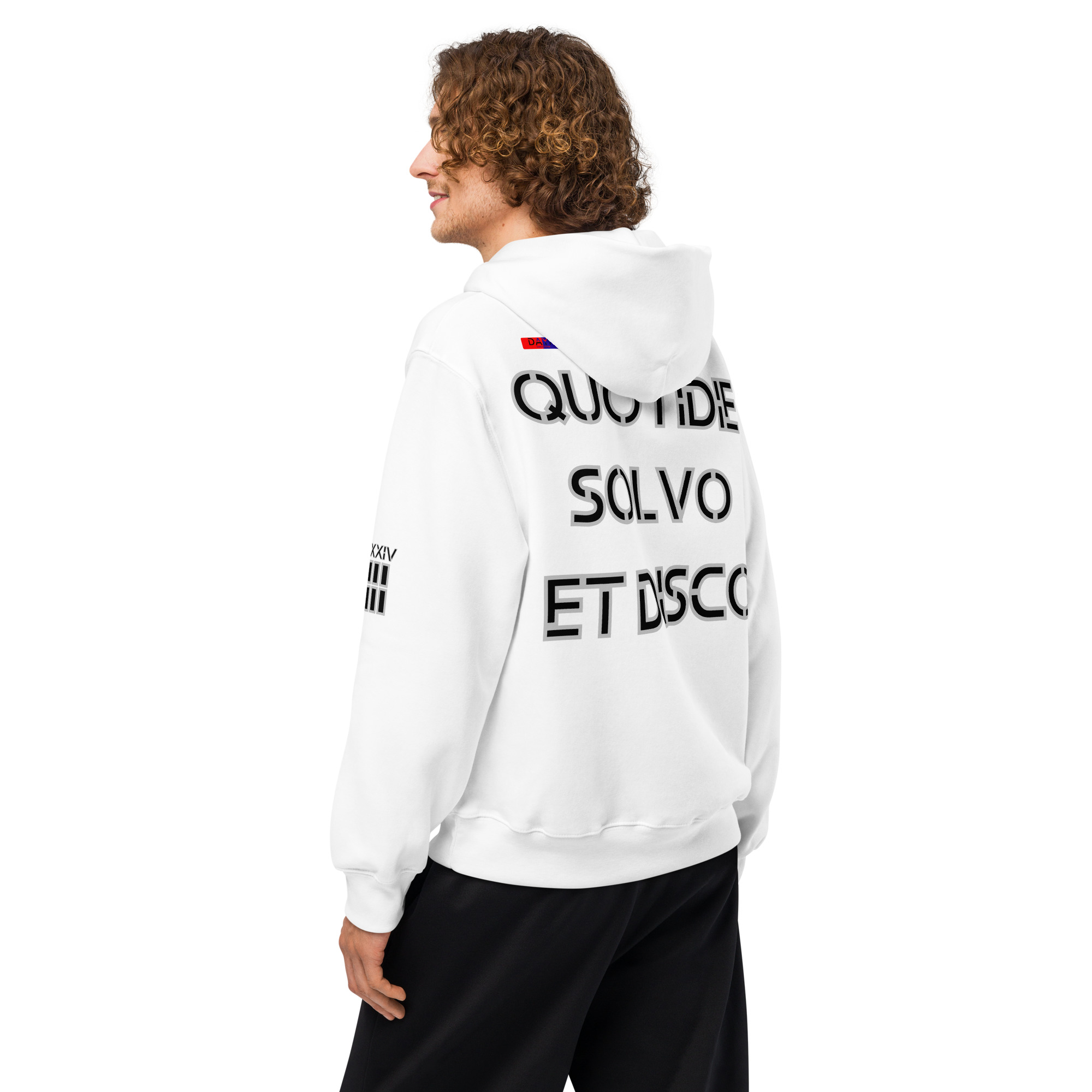 oversized heavyweight hoodie back latin 3
