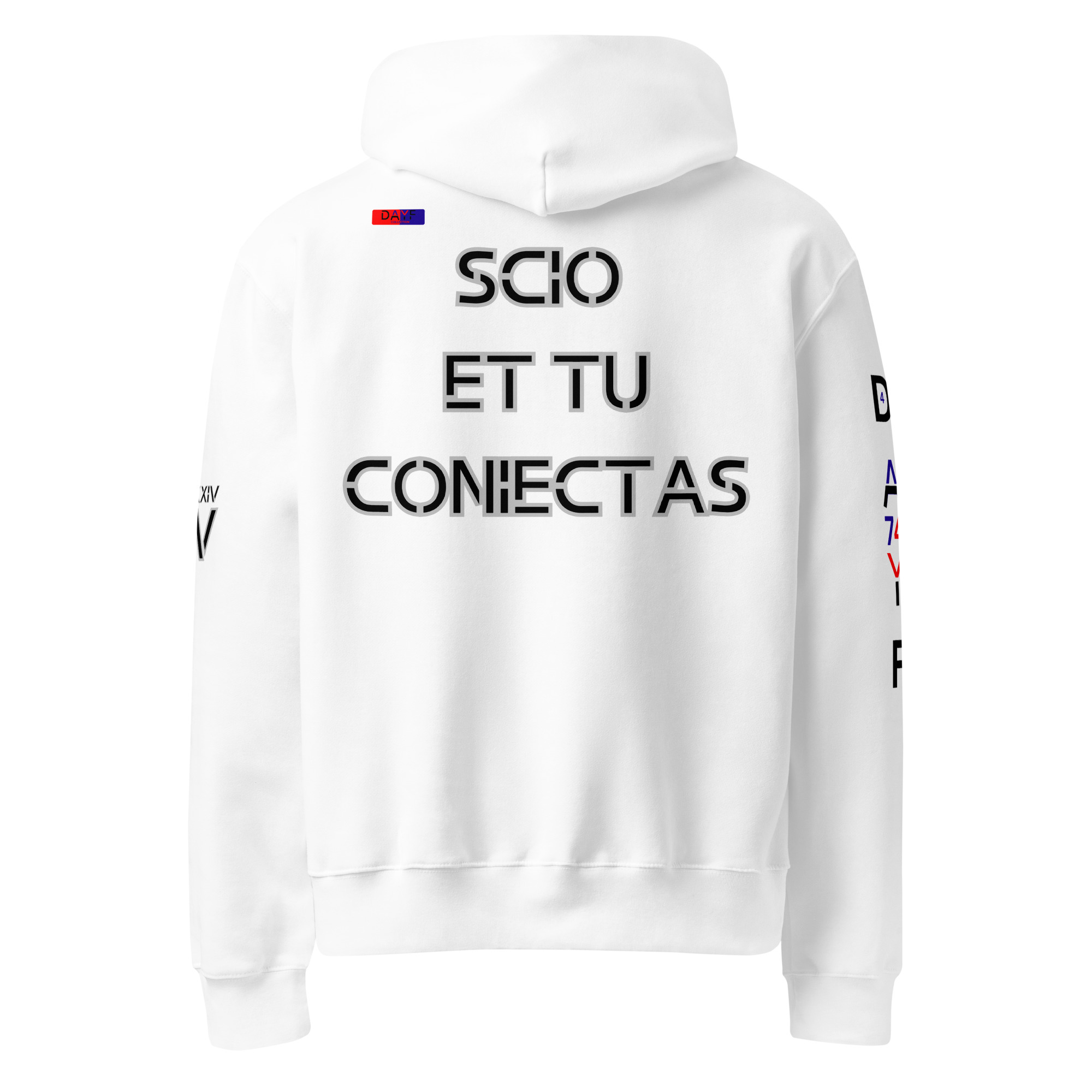 oversized heavyweight hoodie back latin 4
