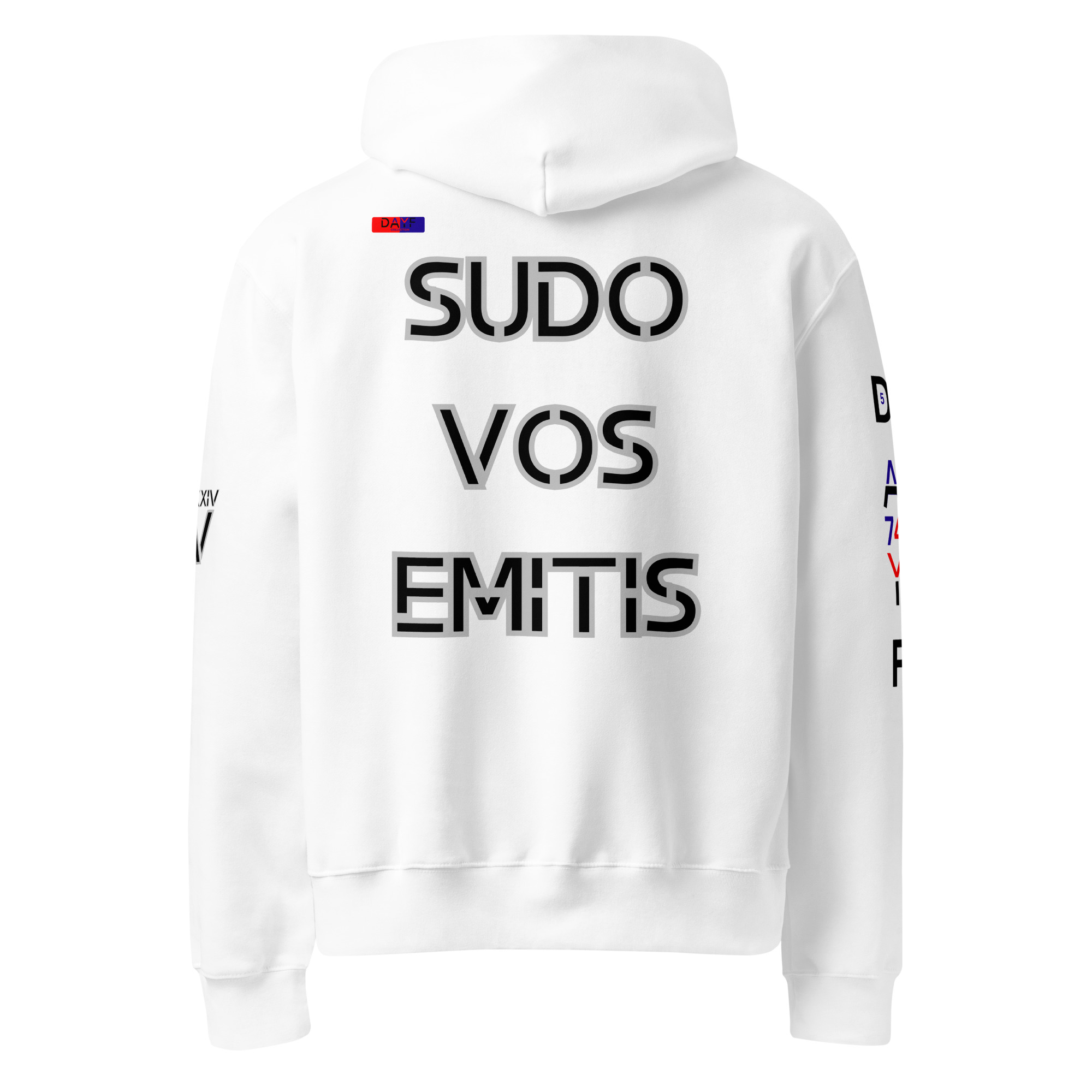 oversized heavyweight hoodie back latin 5