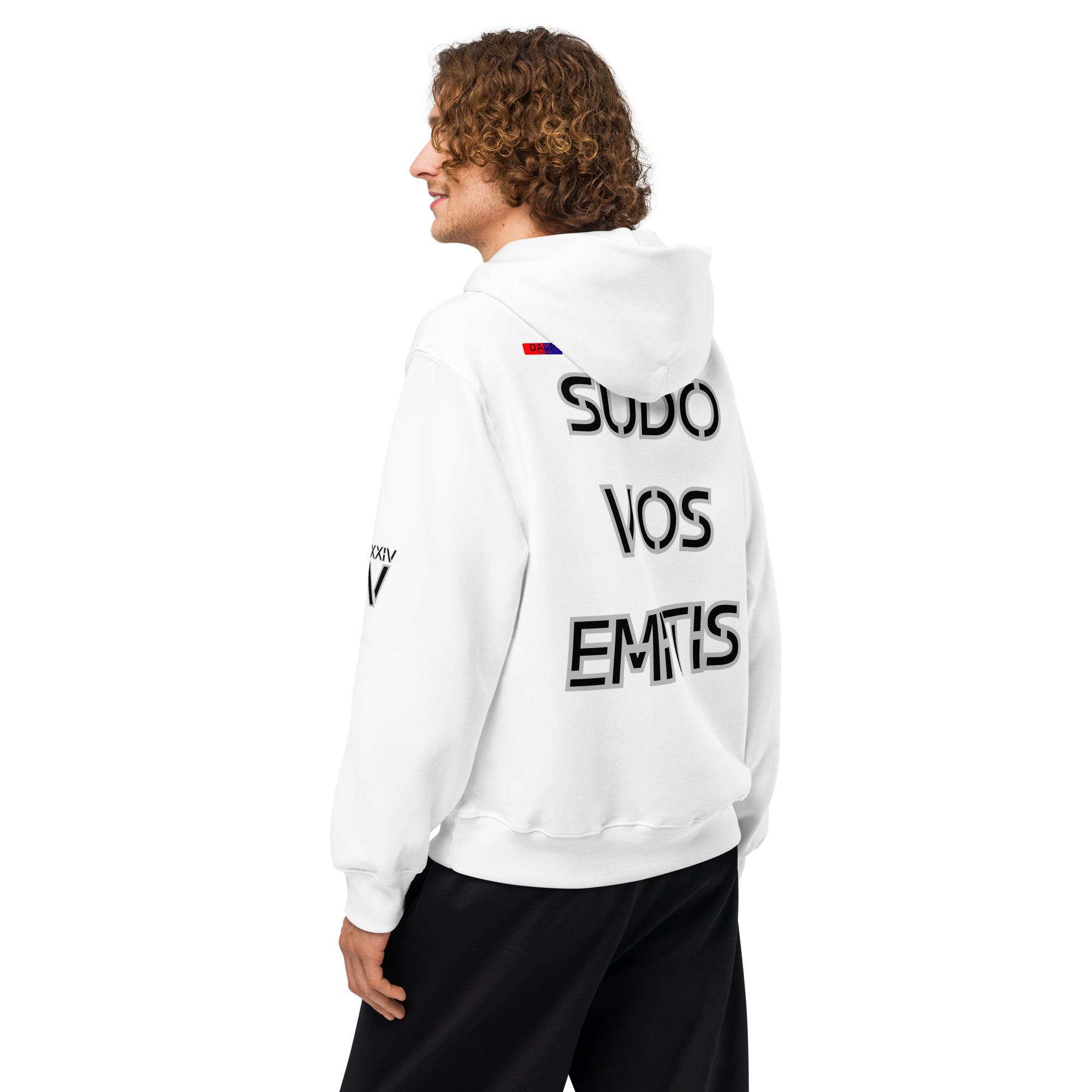 oversized heavyweight hoodie back latin 5
