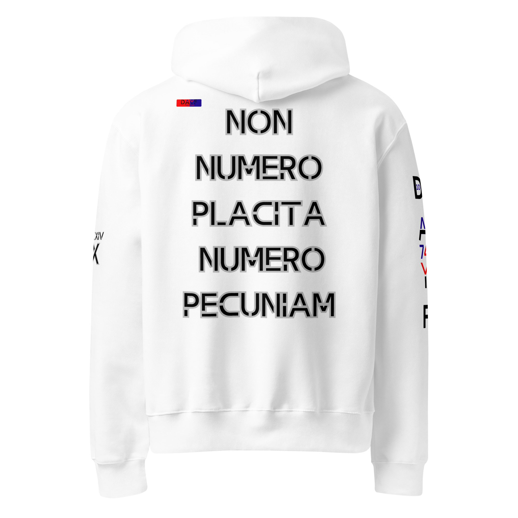 oversized heavyweight hoodie back latin 10