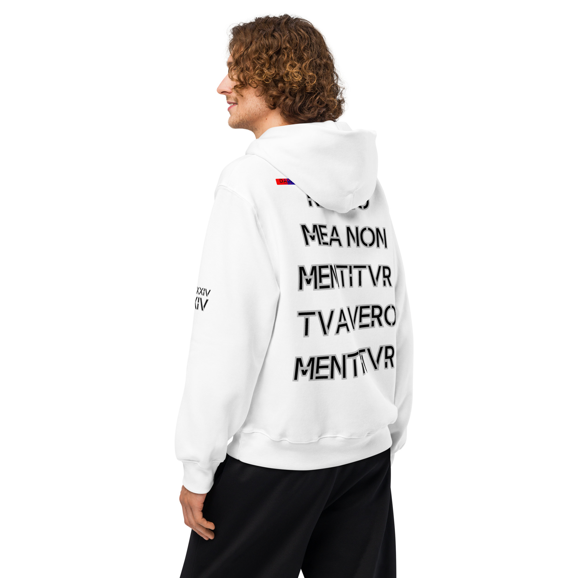 oversized heavyweight hoodie back latin 14