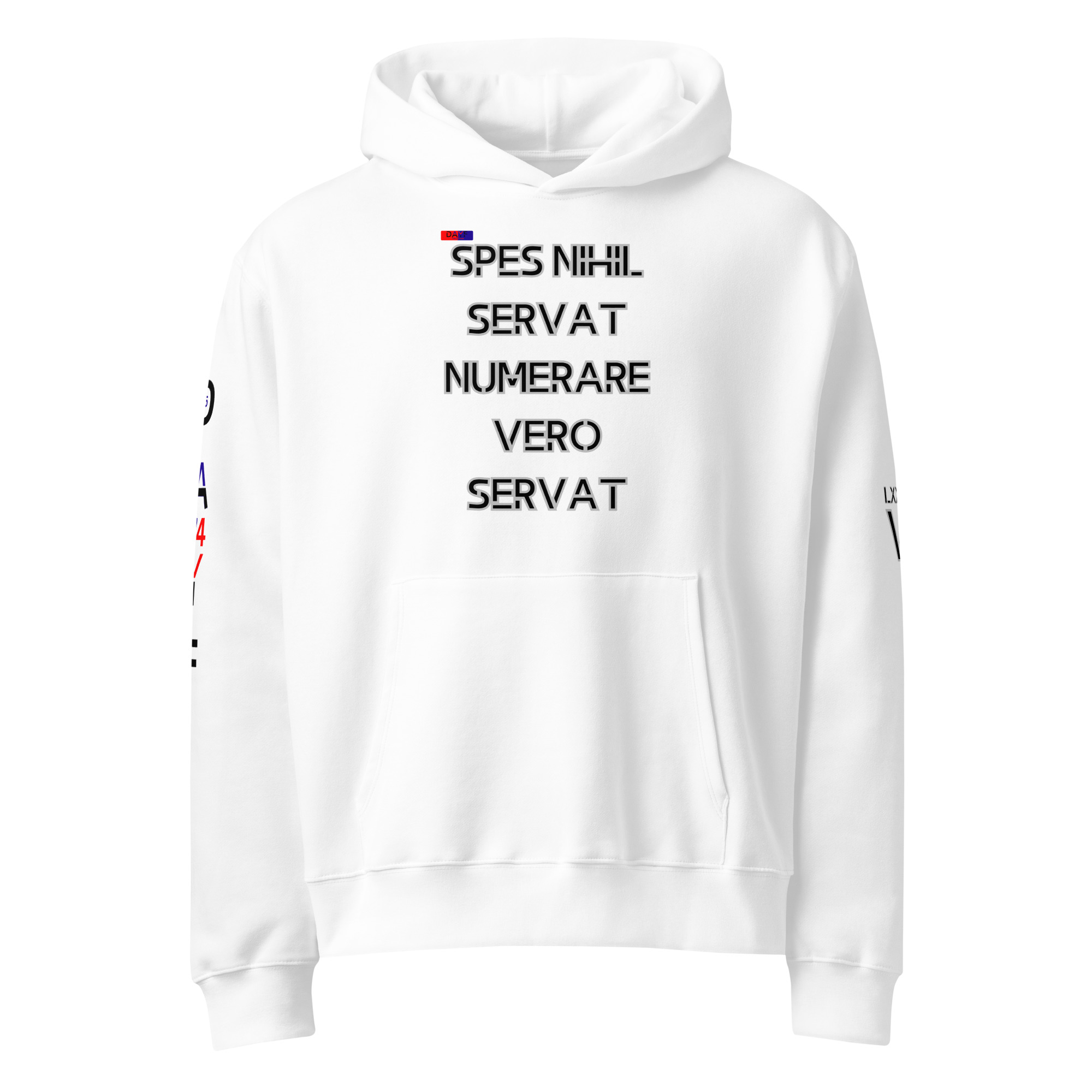 oversized heavyweight hoodie front latin 6