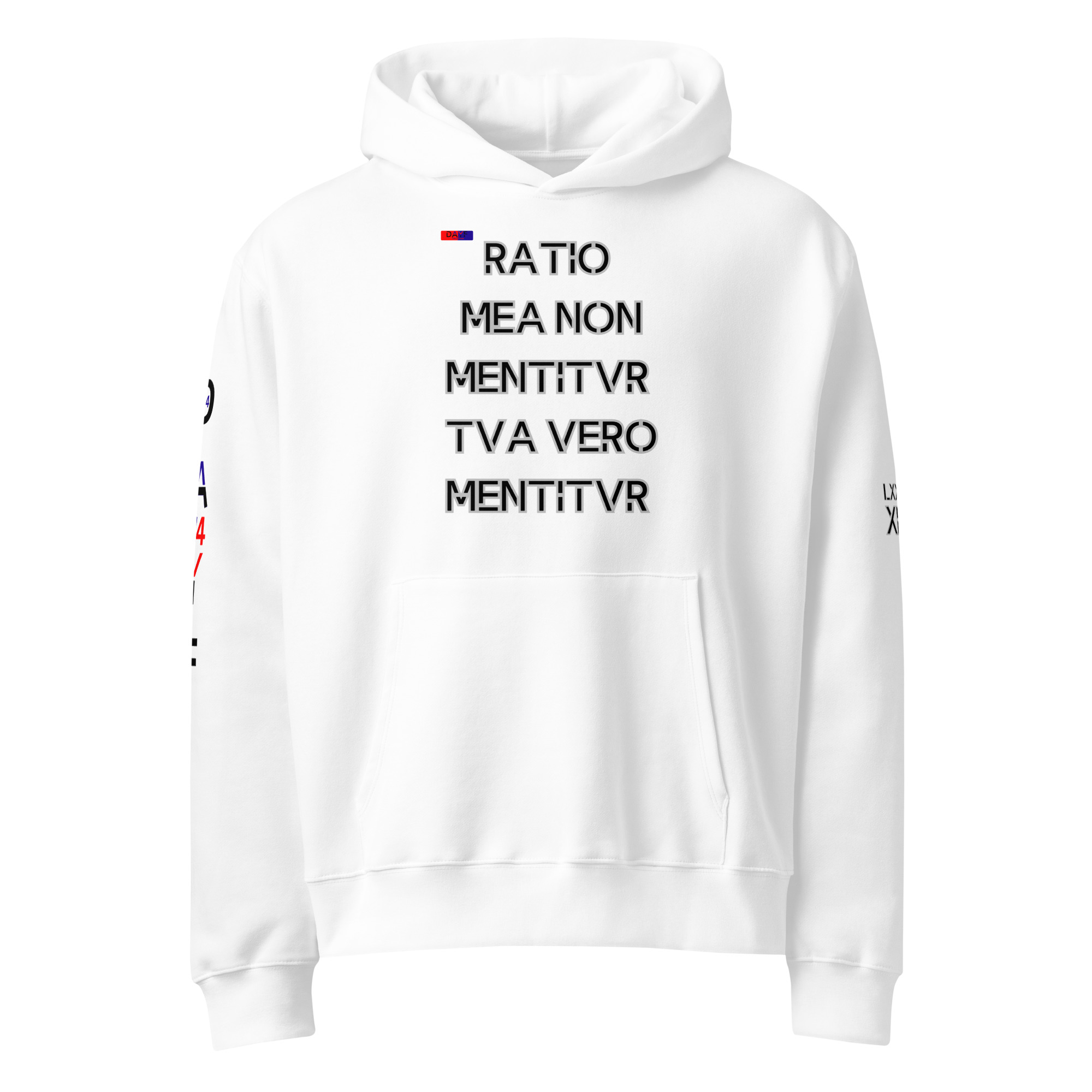 oversized heavyweight hoodie front latin 14