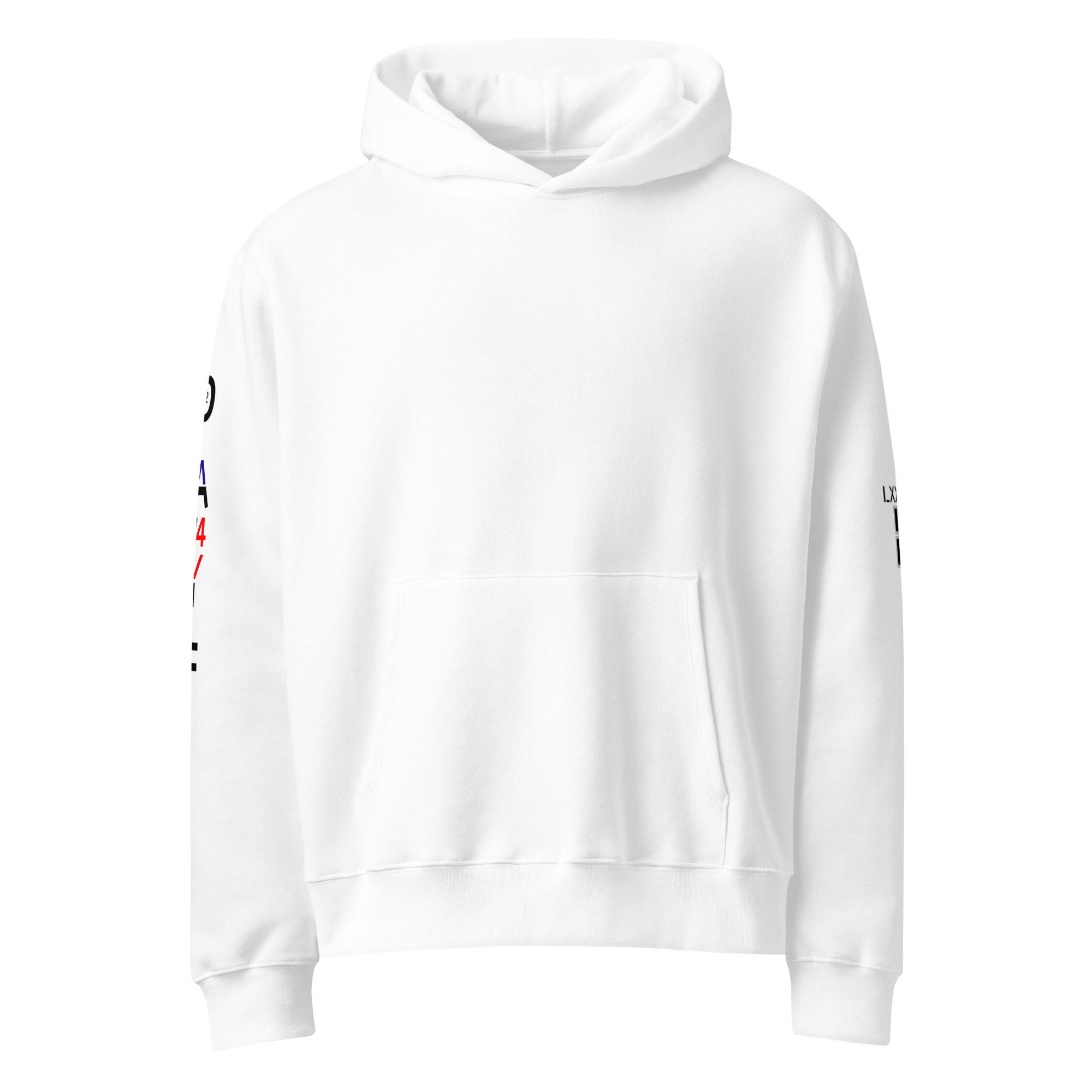oversized heavyweight hoodie back latin 2