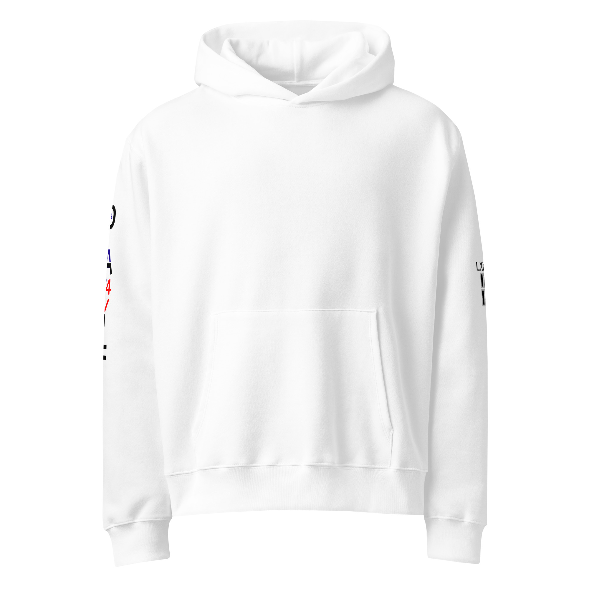 oversized heavyweight hoodie back latin 3