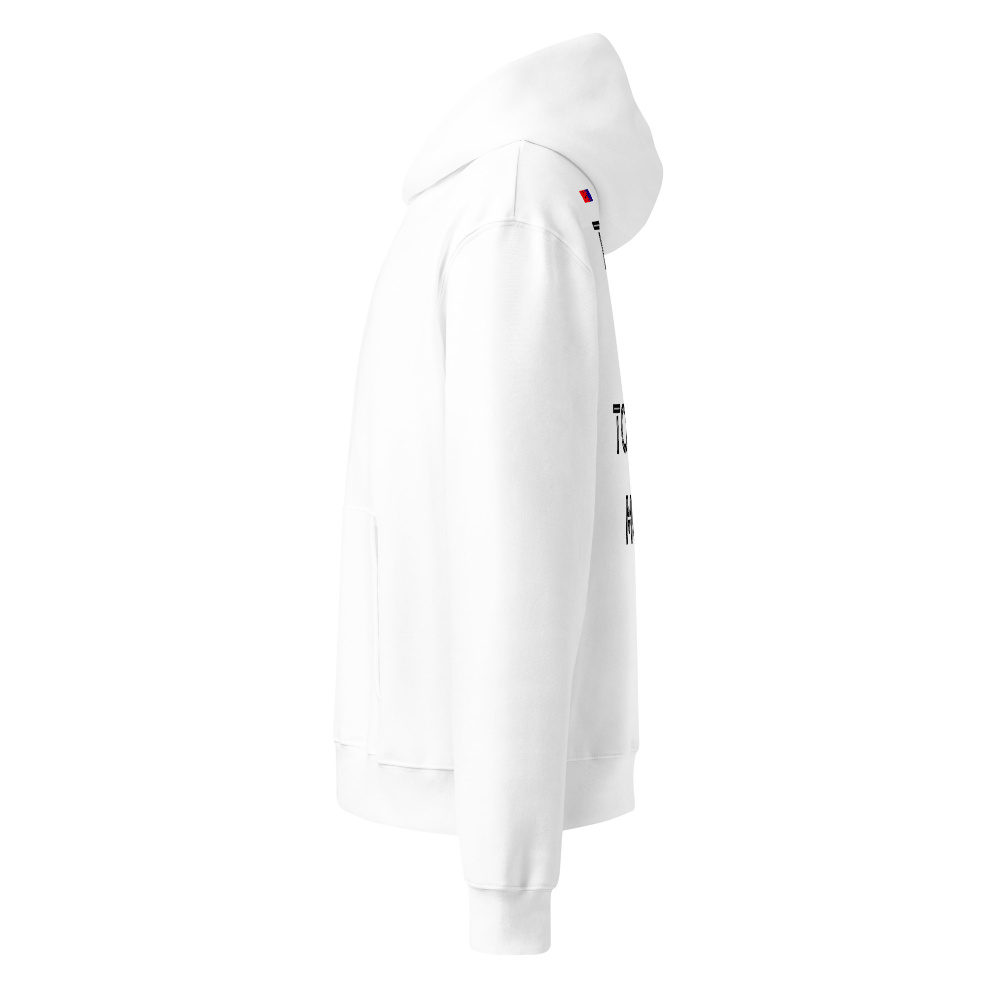 oversized heavyweight hoodie back 11